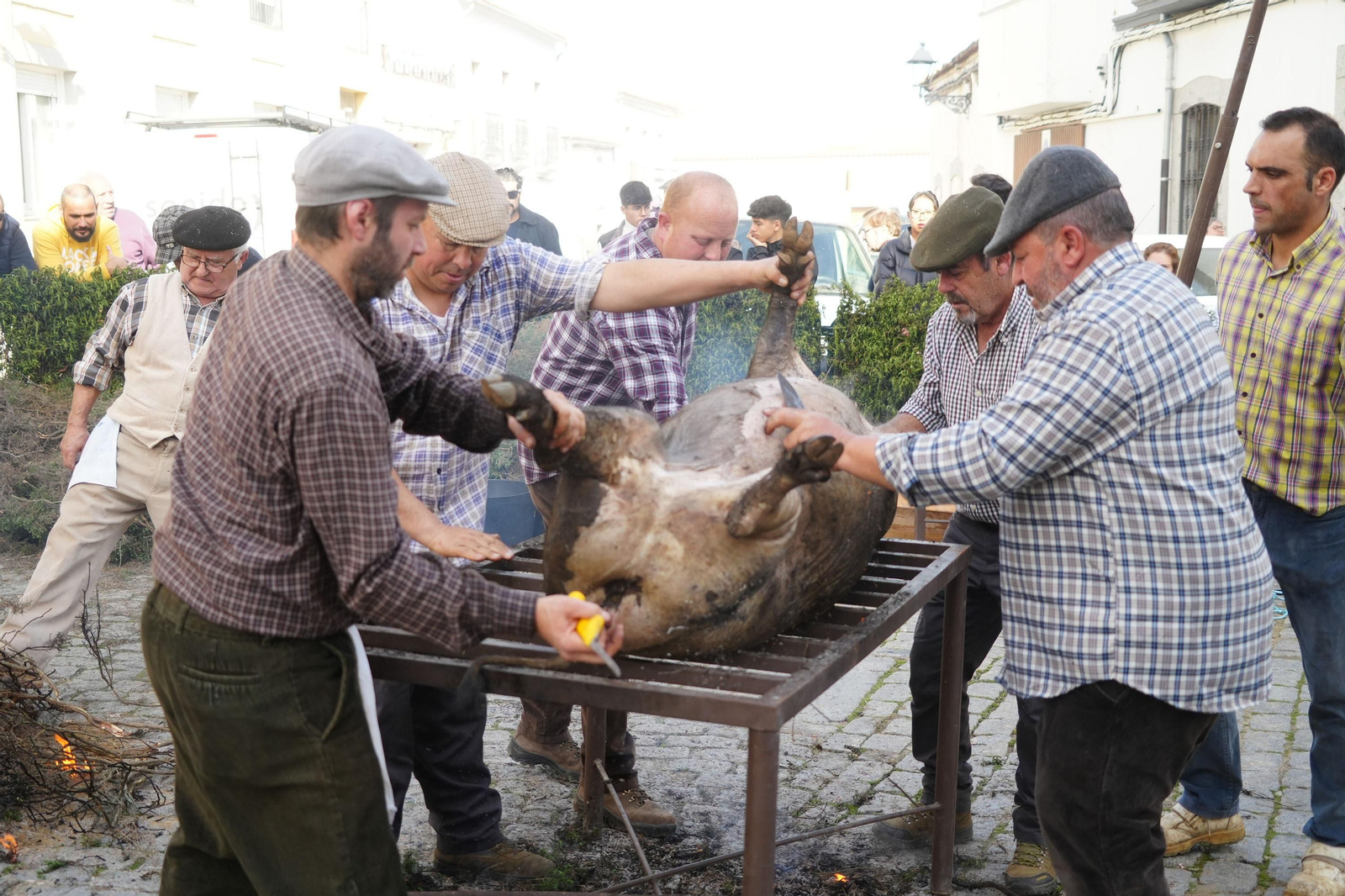 Alcaracejos celebra su Fiesta de la Matanza, en imágenes