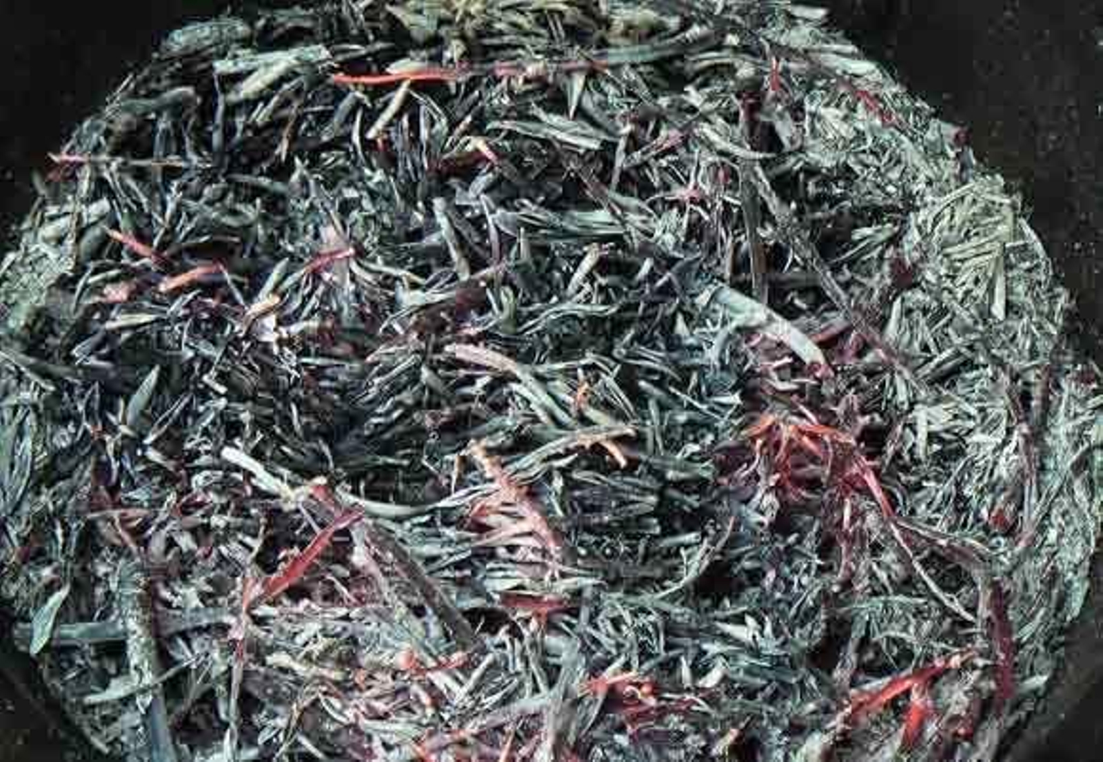 El retrato de Ruesga Bono: Ceniza