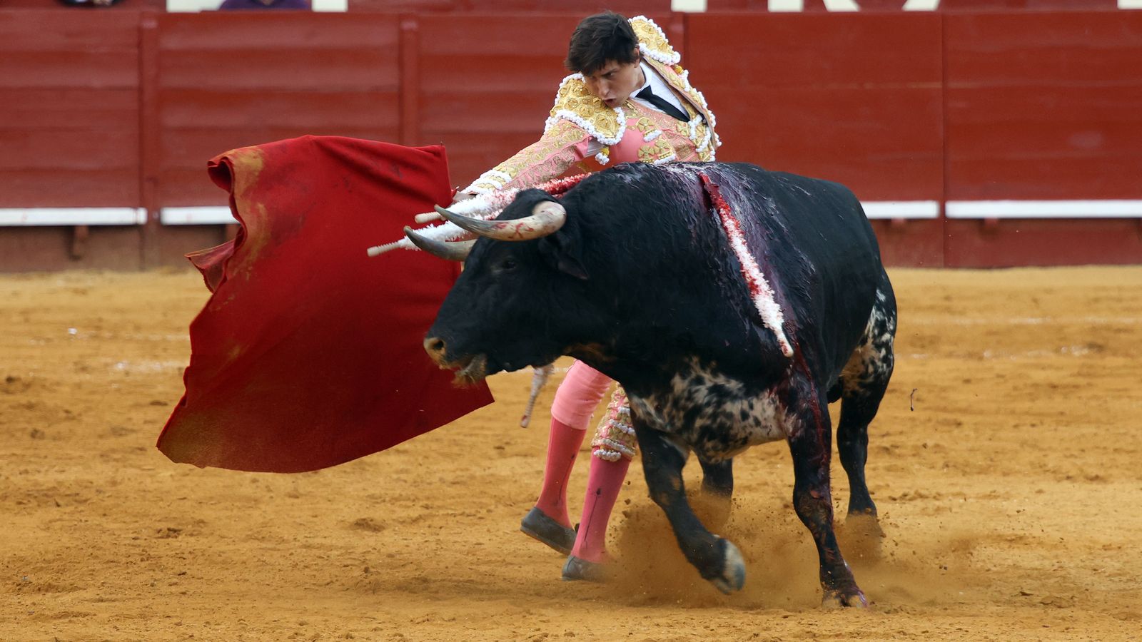 Tercera tarde de toros y última de la Feria de Jerez con Morante, Juan Ortega y Roca Rey