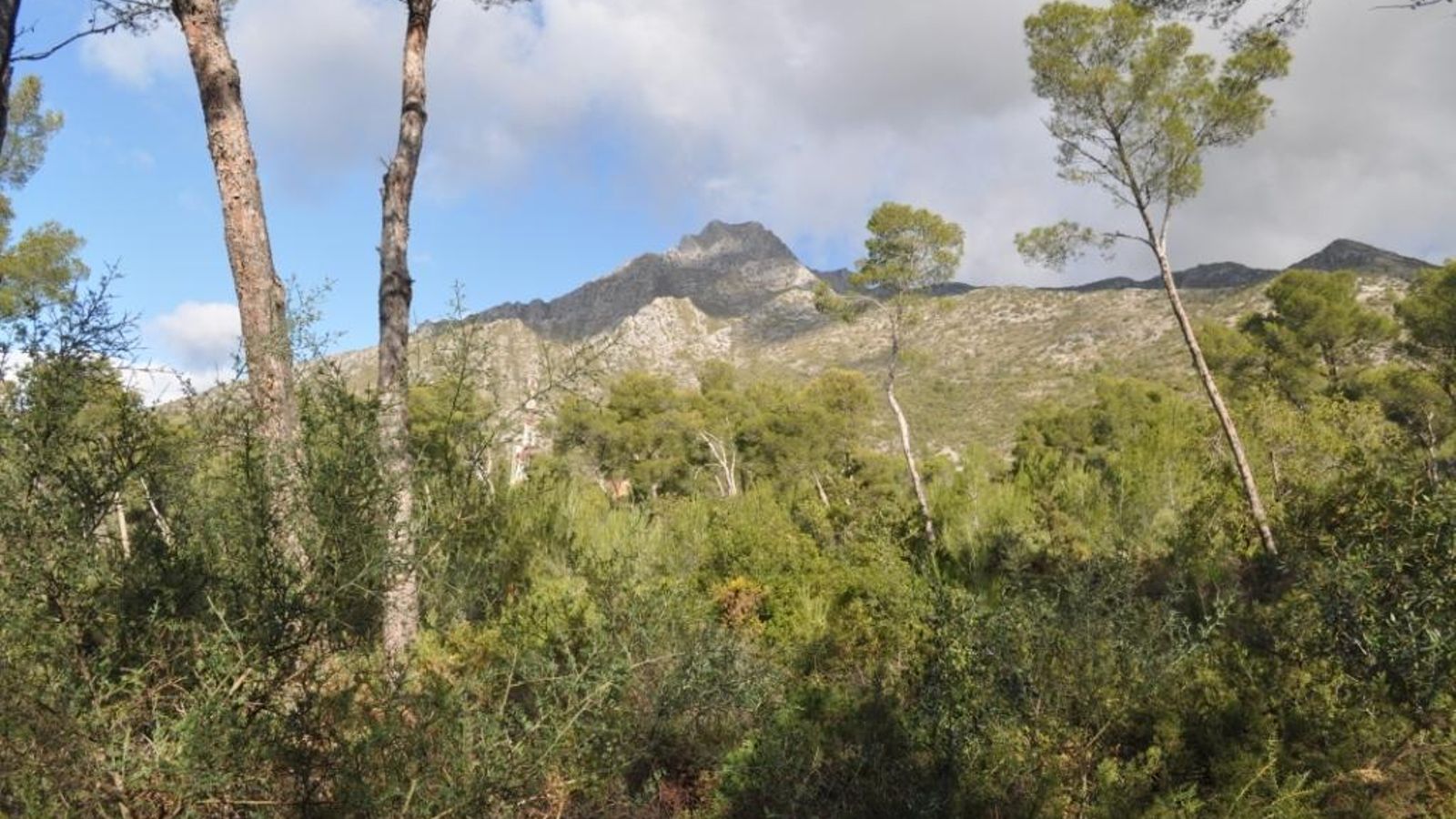 El pico de la Concha nos devuelve la mirada como el abismo de Nietzsche. El pico de la Concha nos devuelve la mirada como el abismo de Nietzsche.