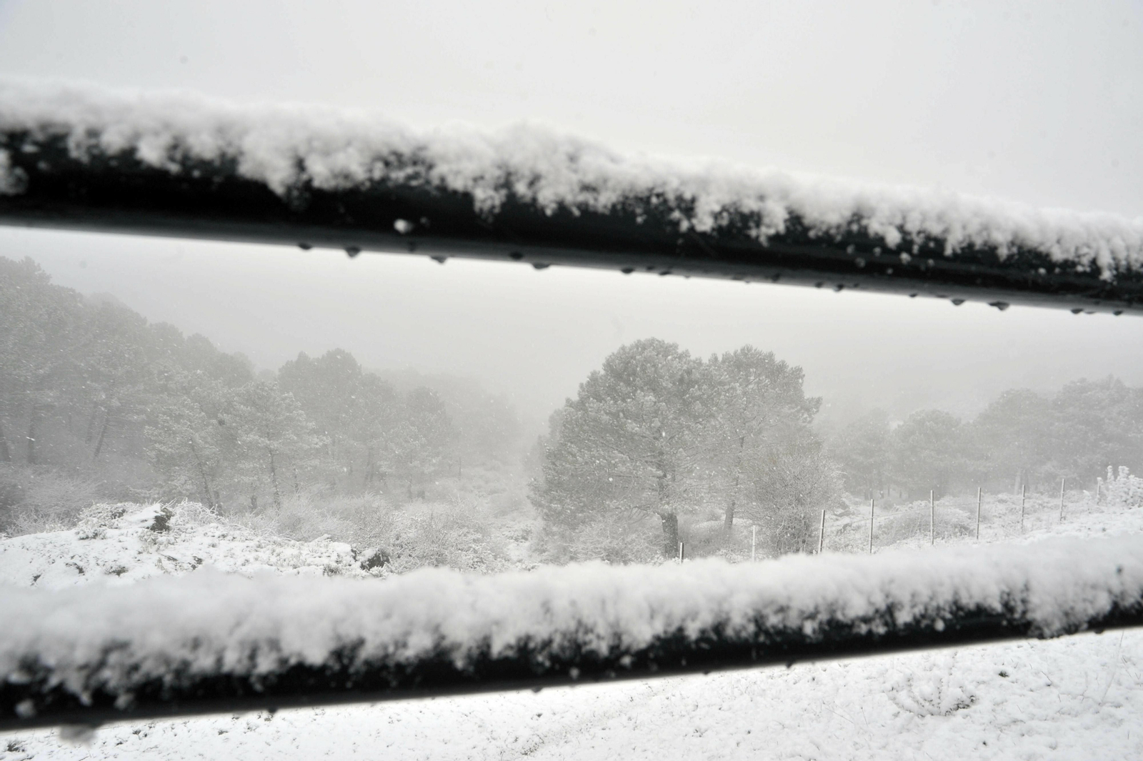 Nieve en Grazalema