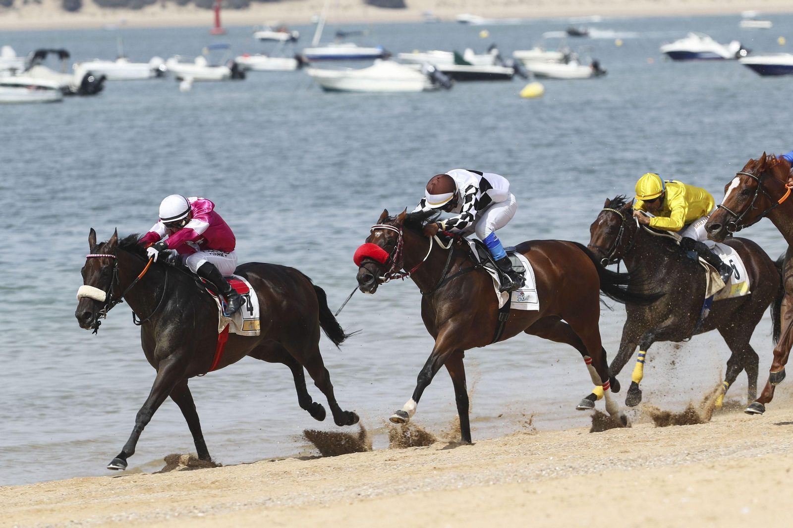 Los mejores momentos del inicio del segundo ciclo de las Carreras de Caballos de Sanlúcar