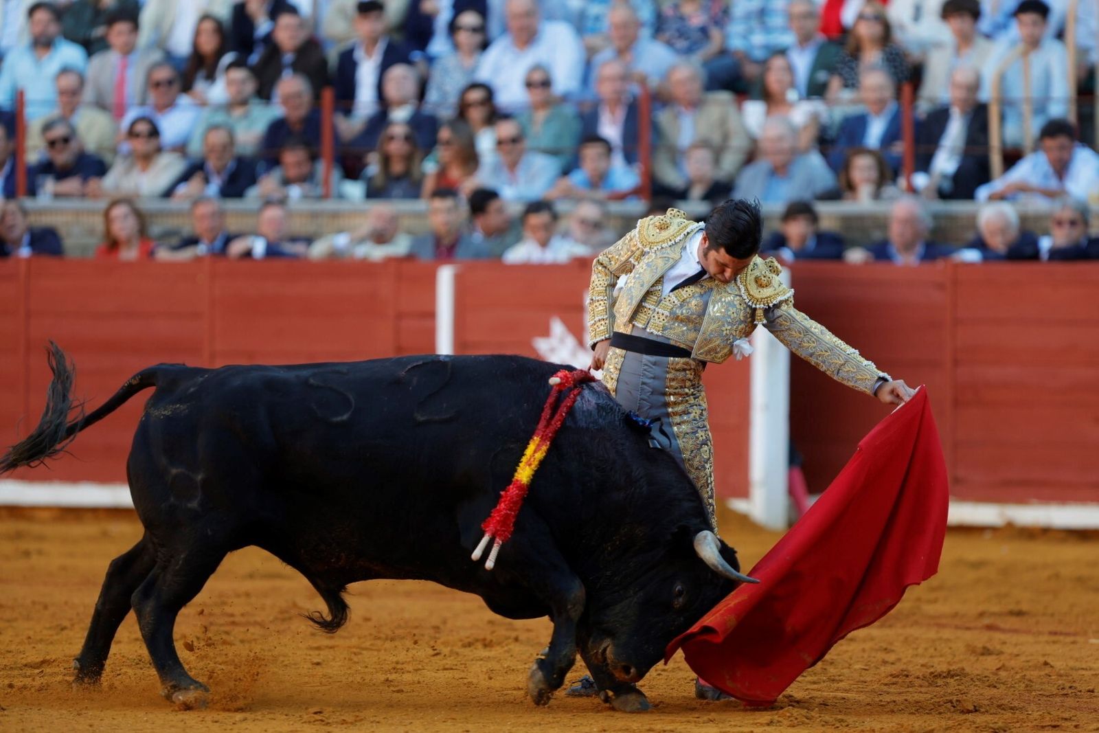Las mejores fotos de la corrida de Morante, Ortega y Roca Rey en la Feria Taurina de Córdoba