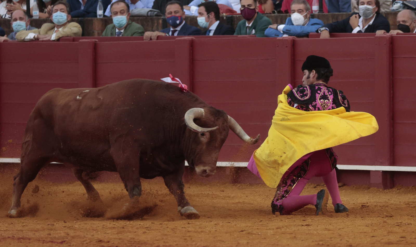 Las imágenes del triunfo de Morante en San Miguel