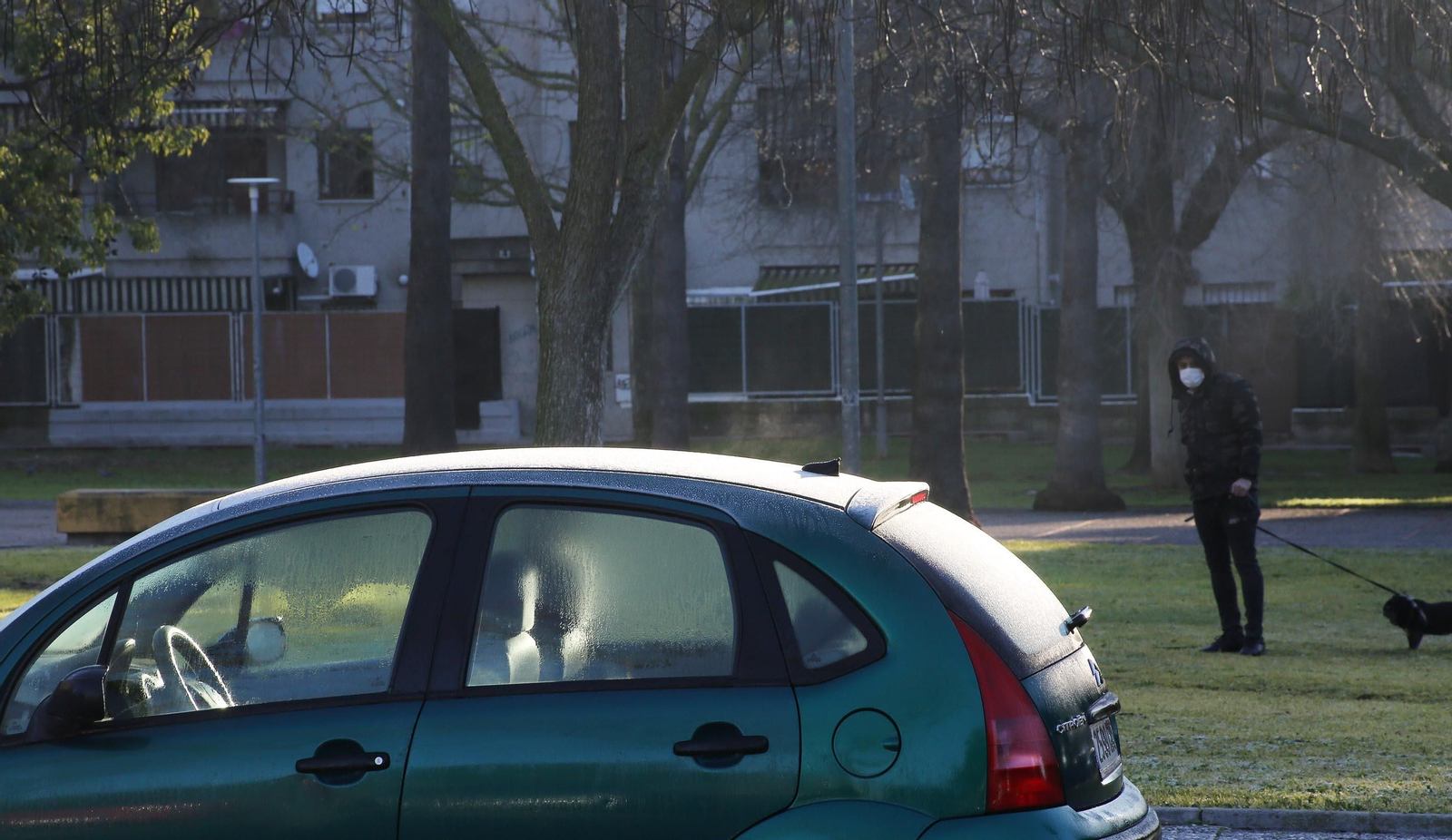 Ola de frío:Imágenes de la helada en Jerez