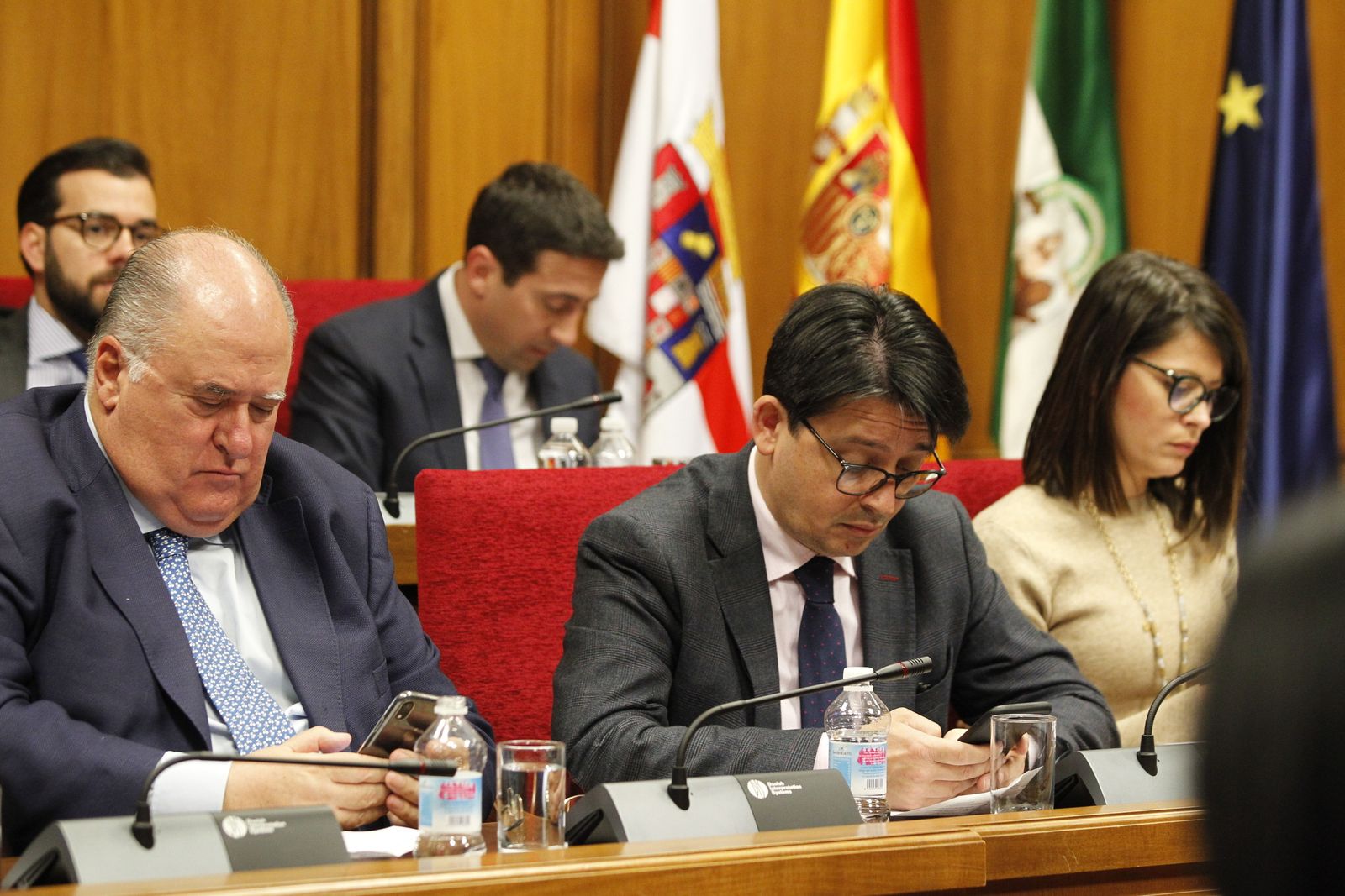 Fotogalería Pleno Ordinario Diputación de Almería