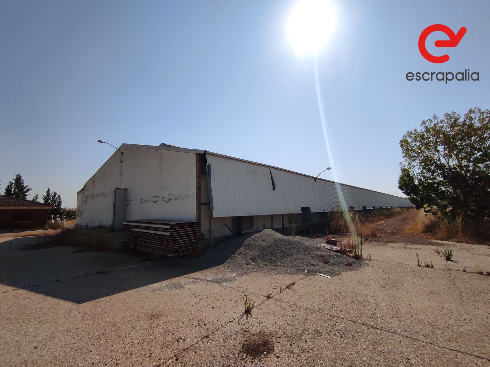 La granja de 43.000 metros cuadrados a subasta por 1 euro