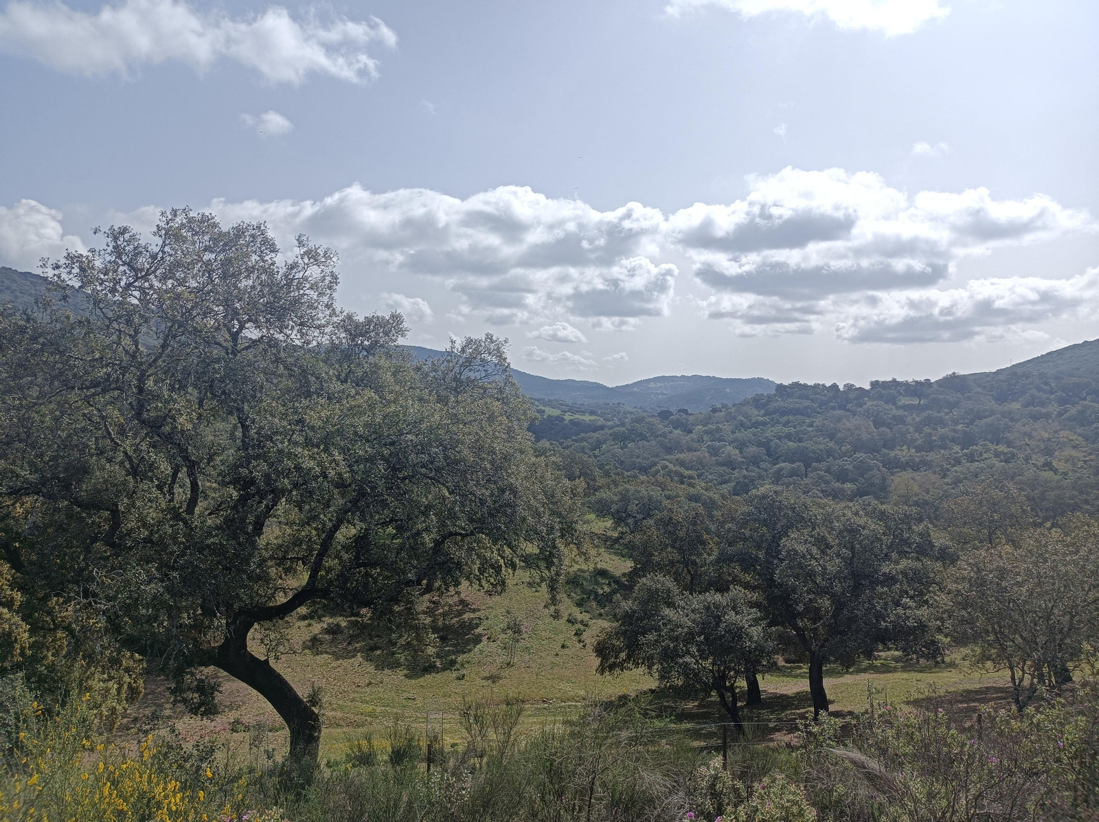 Fotos de la georruta de La Lobera