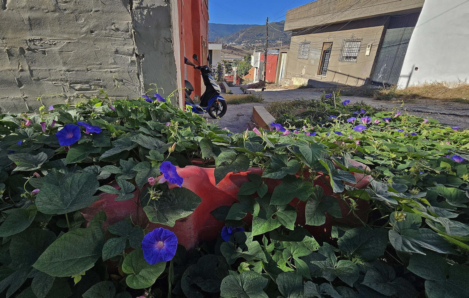 Fotos de los desperfectos de la barriada de La Capelina en Algeciras