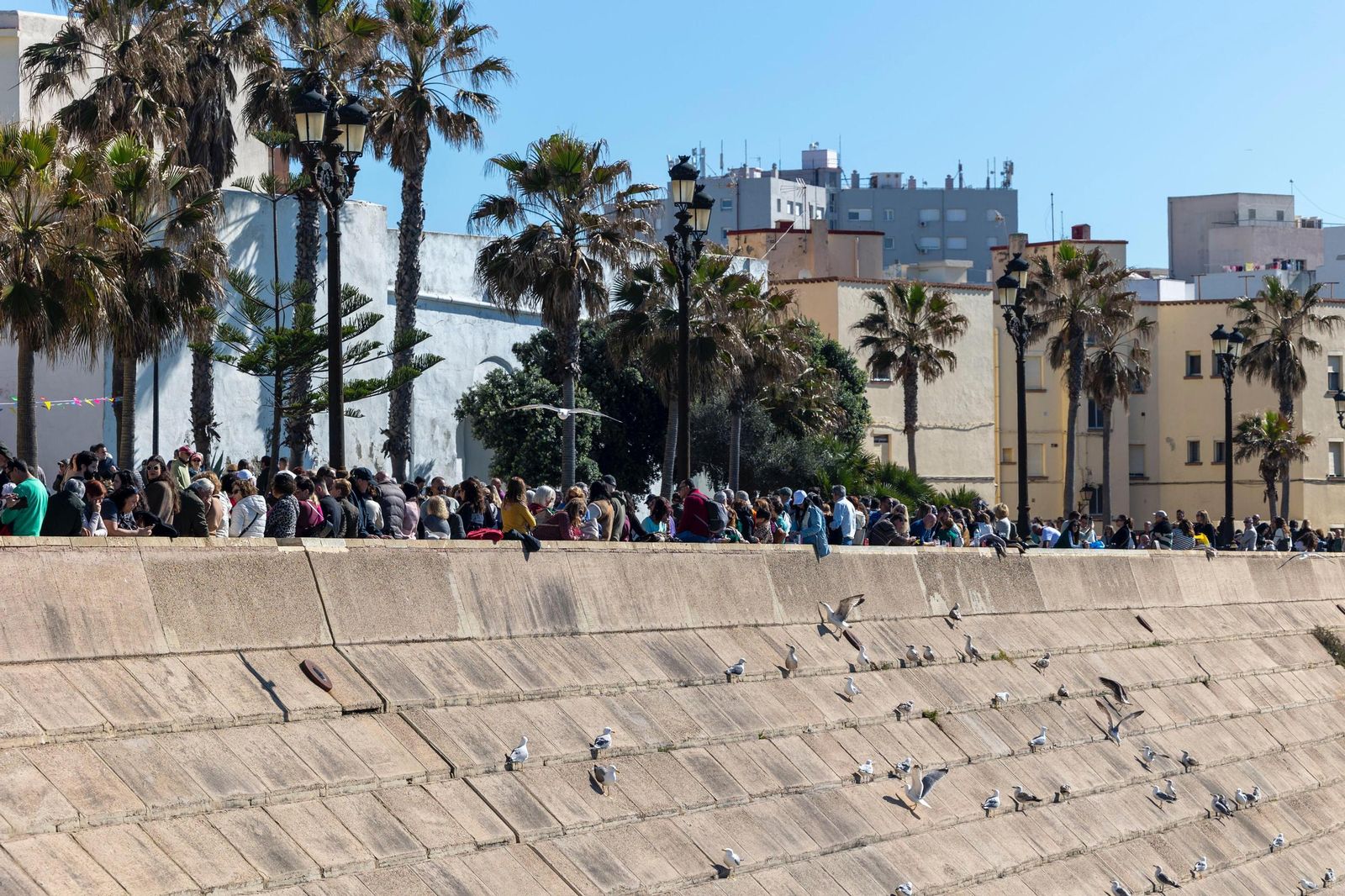 Búscate en las imágenes de la mejillonada popular