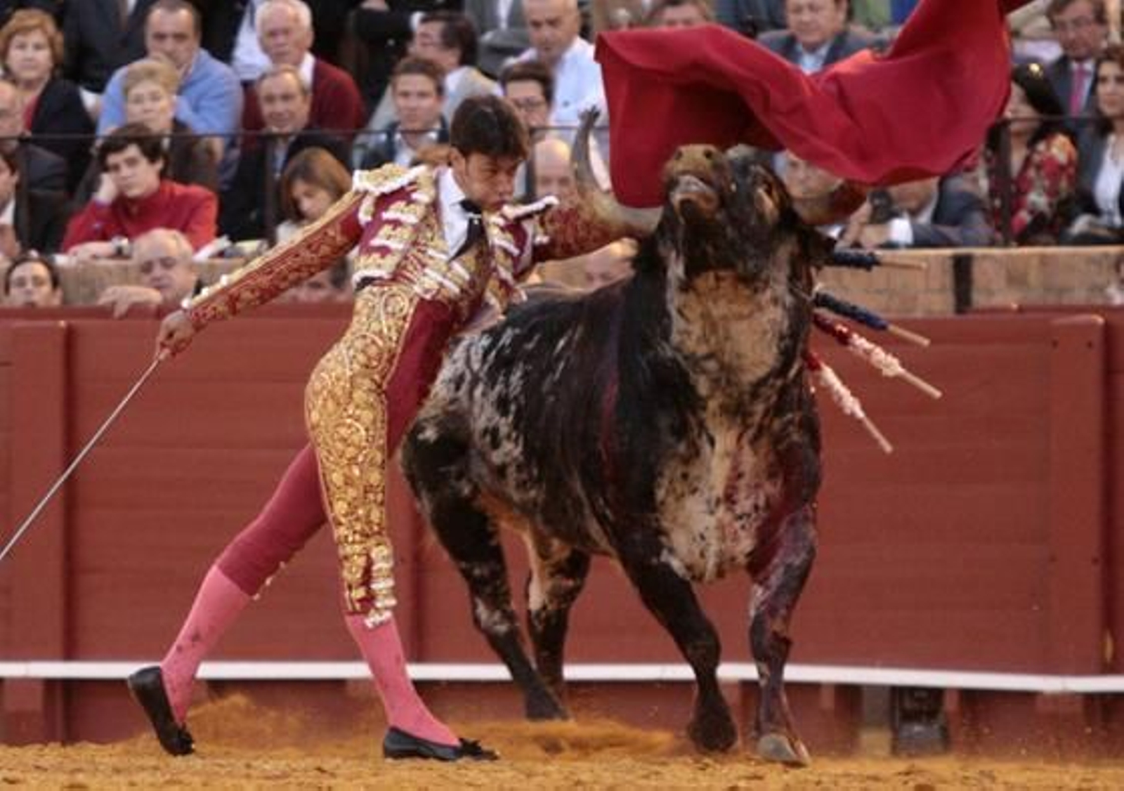 El torero de Dos Hermanas en la distancia corta.

Foto: Juan Carlos Muñoz