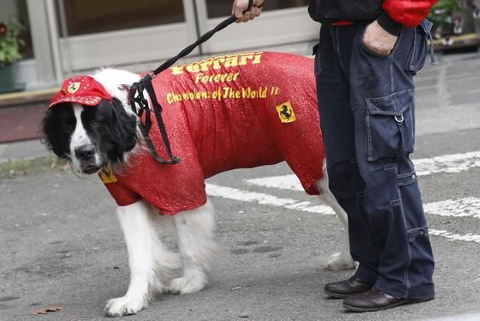 Un seguidor de Ferrari.

Foto: Reuters