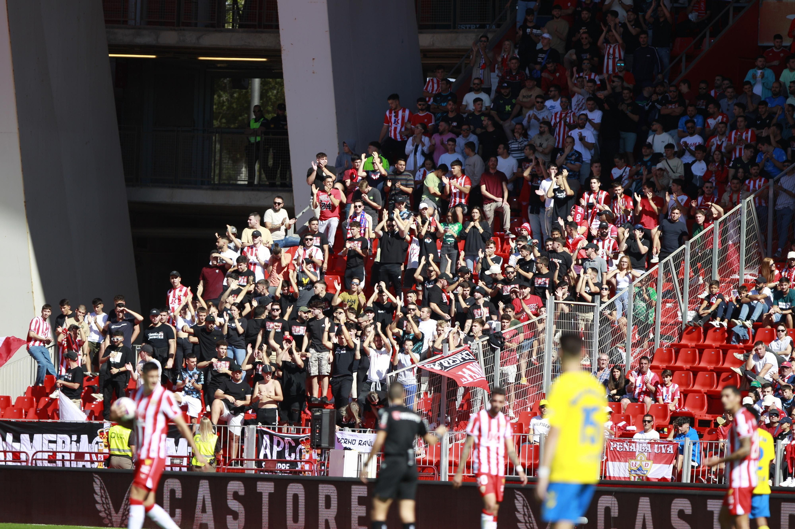 Imágenes del partido U.D. Almería-U.D. Las Palmas