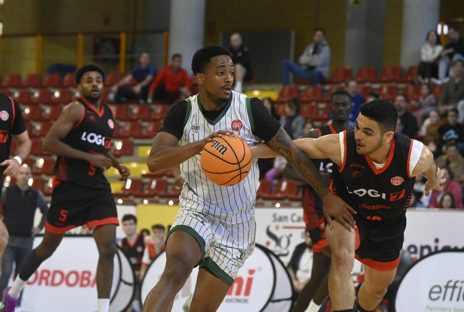 Las mejores fotos del ambiente en Vista Alegre para el Coto Córdoba - Logrobasket