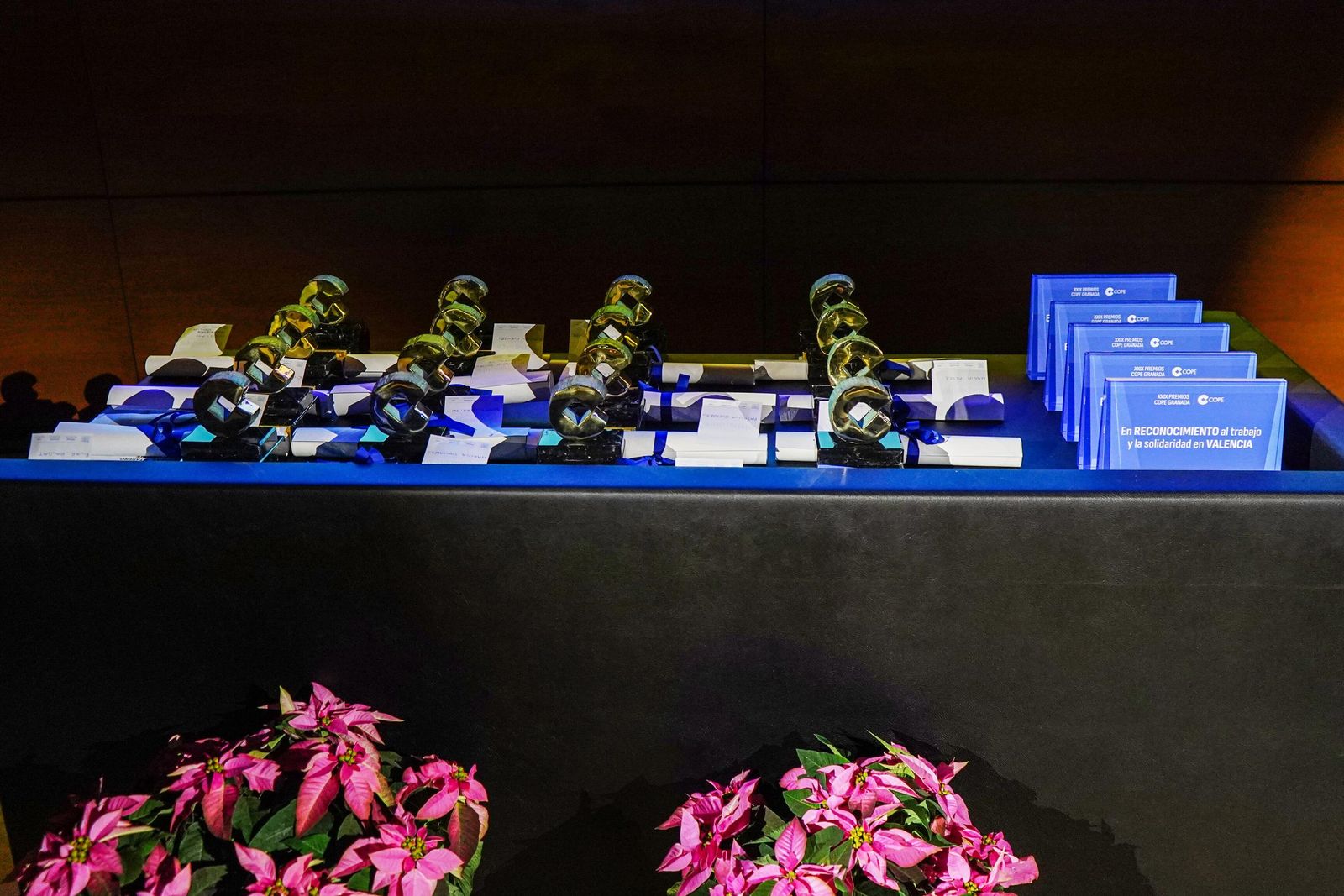 Las mejores fotos de los Premios Cope Granada