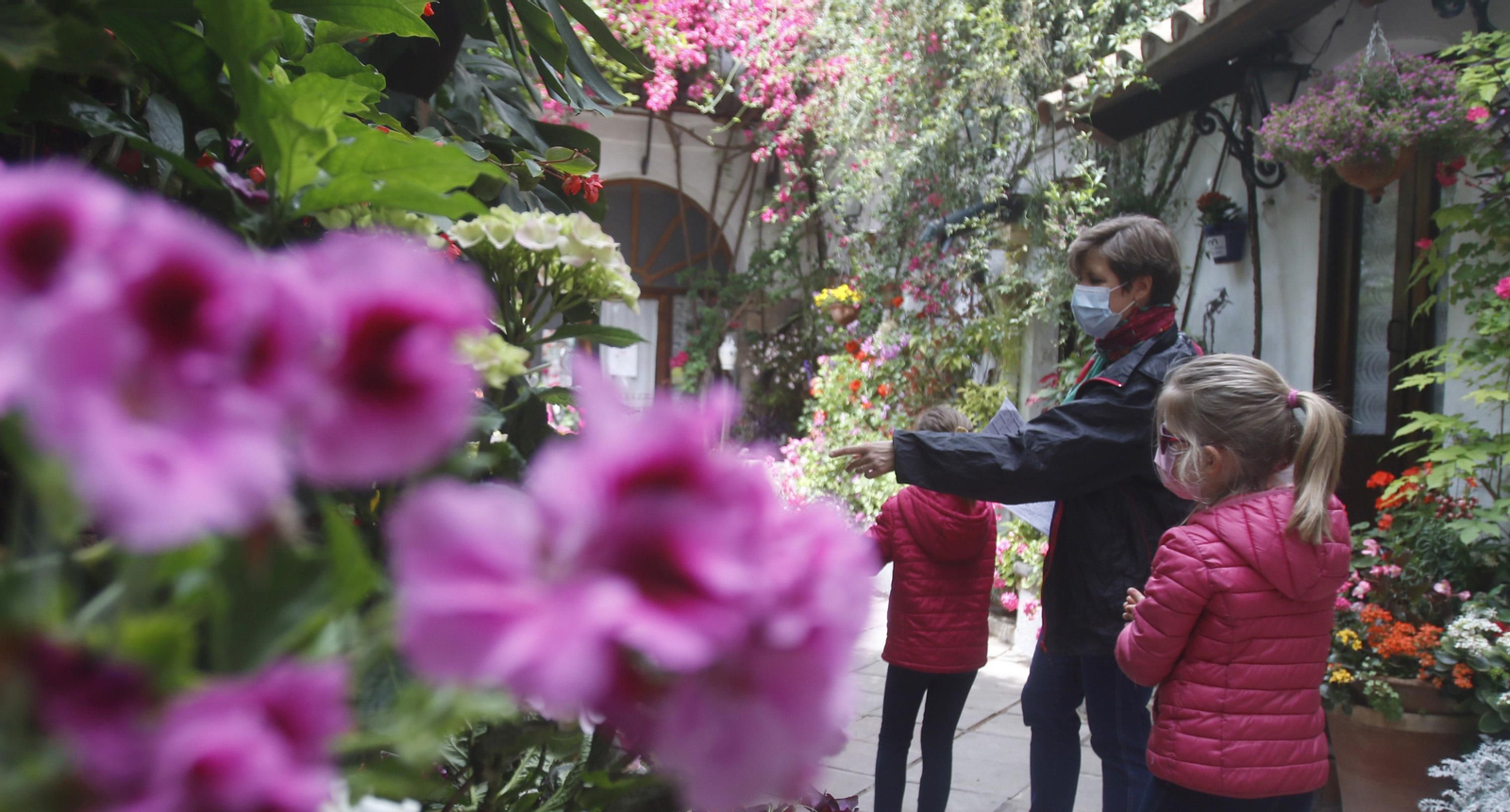 Ruta Santiago - San Pedro de los Patios de Córdoba, en imágenes