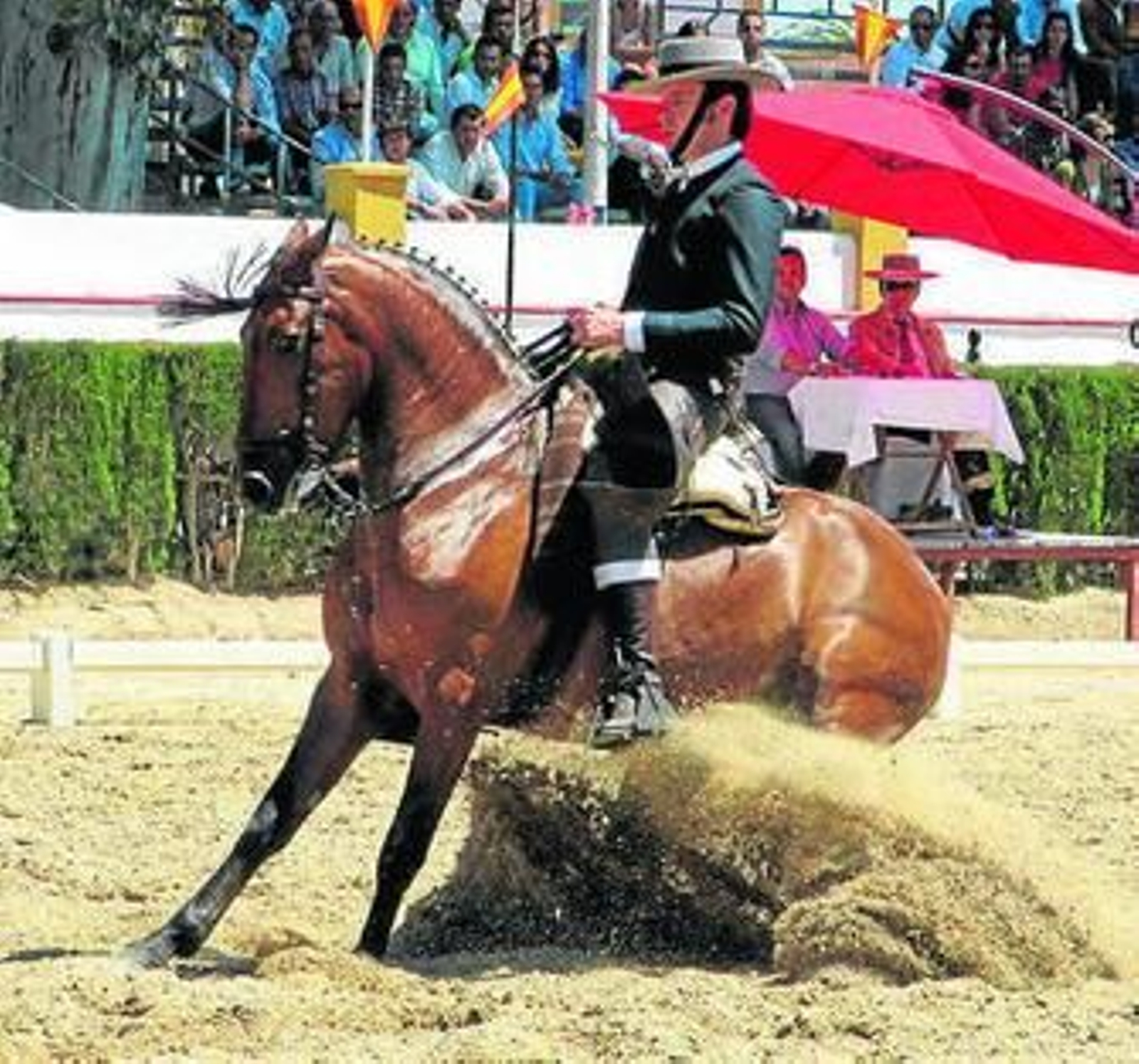 José Ramón Pérez saliendo de vueltas sobre las patas.