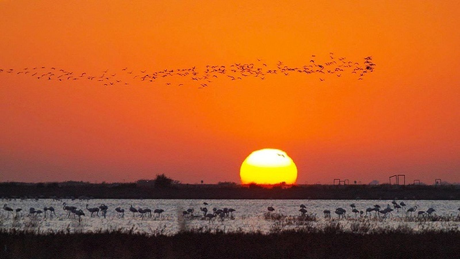 El precioso atardecer de Trebujena que enamoró a Spielberg