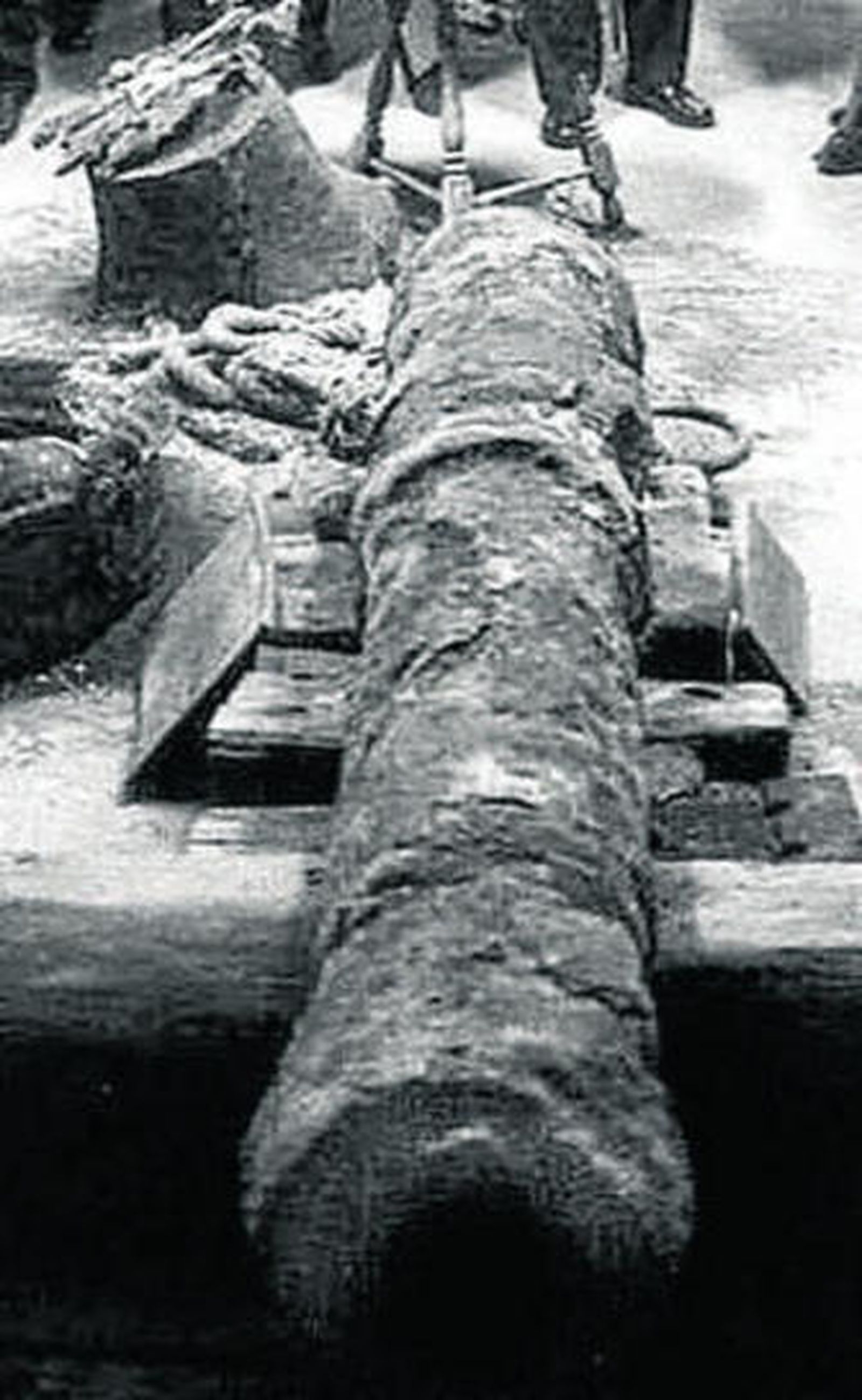 Uno de los cañones encontrados.