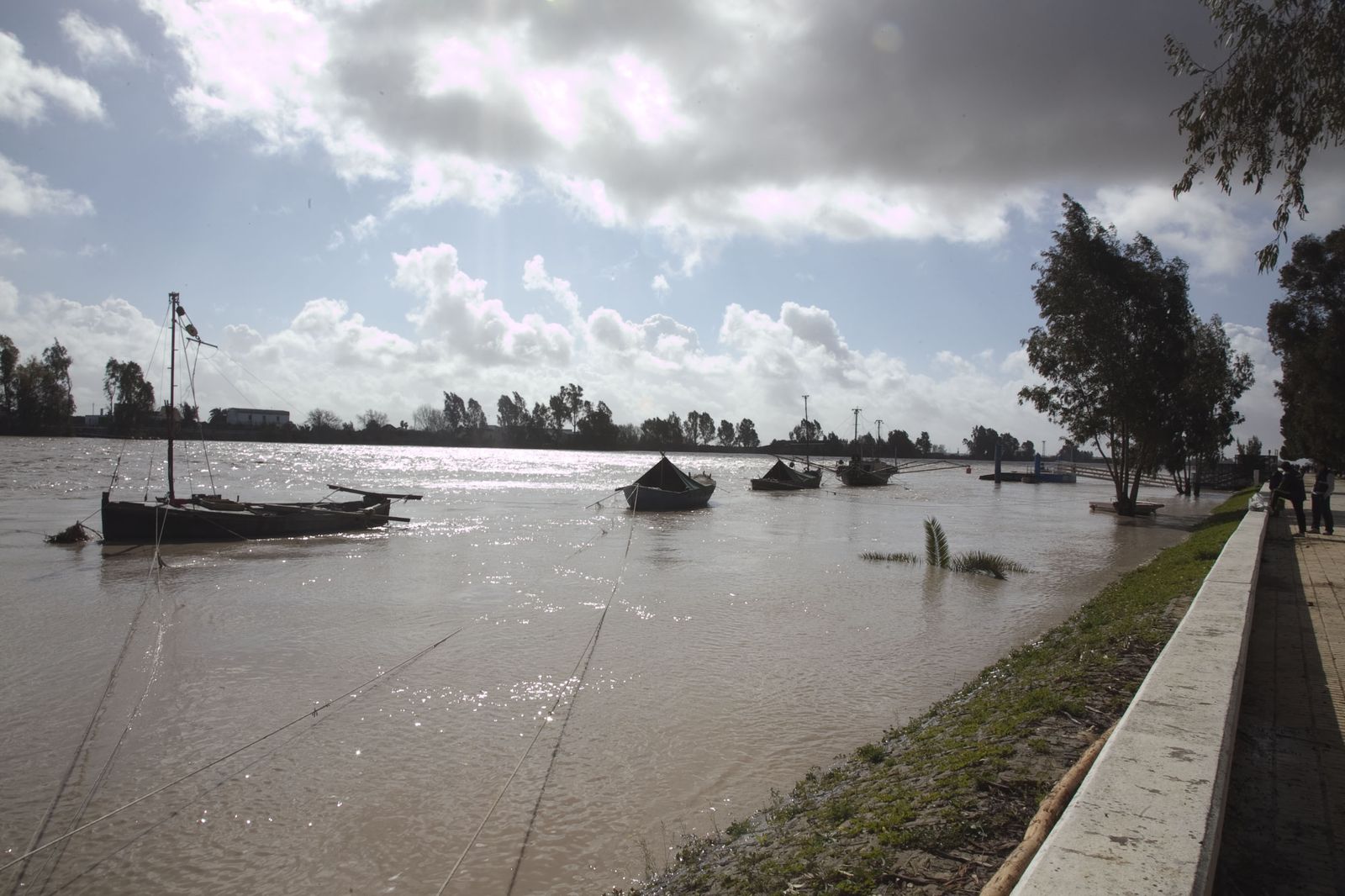 Vista del río Guadalquivir a su paso por Coria del Río.