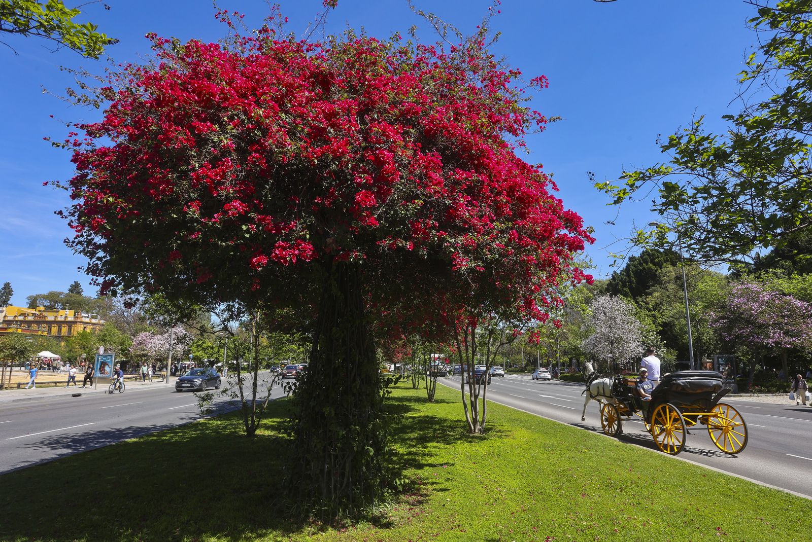 Primavera en Sevilla