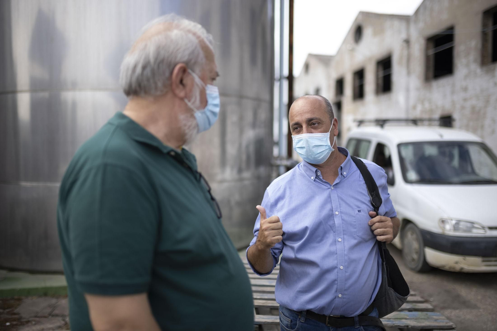 Imágenes de la vendimia en el Condado de Huelva