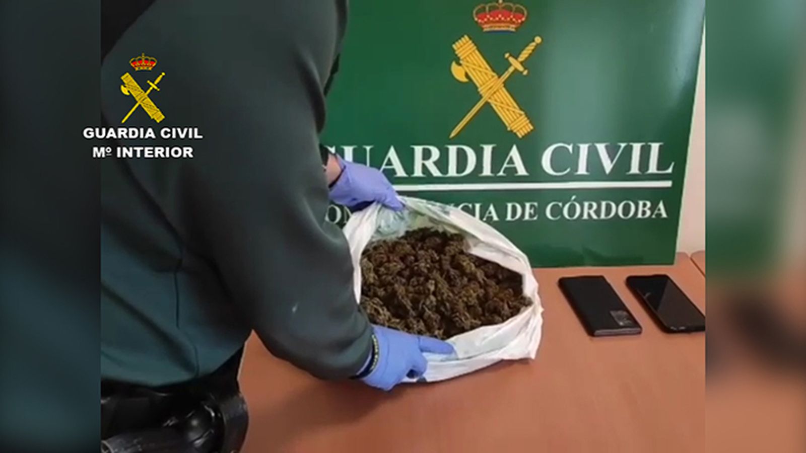 Marihuana intervenida en Montilla.