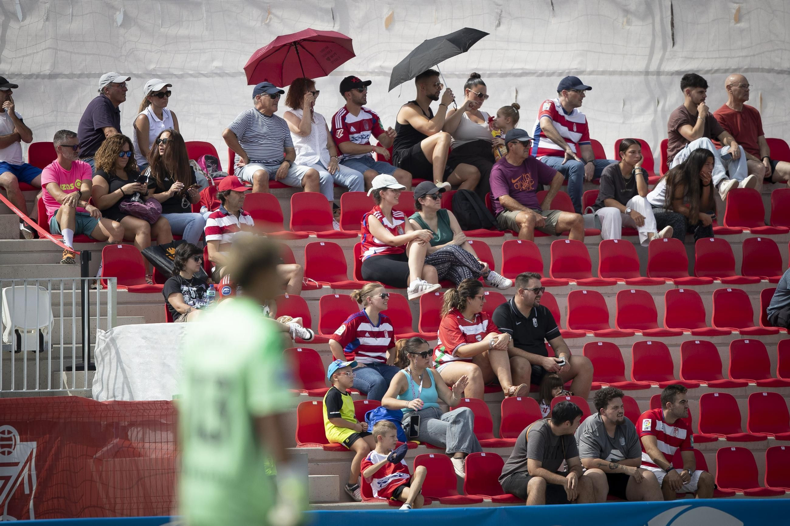 Las mejores imágenes del Granada CF-SD Eibar