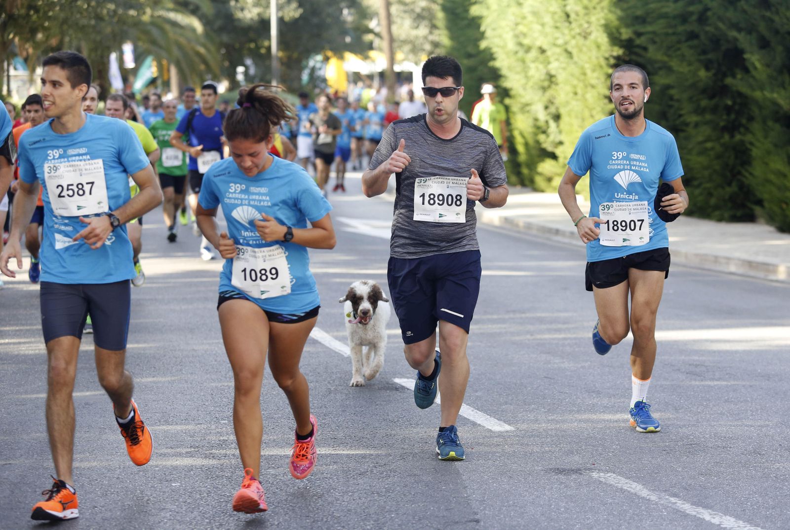 Imágenes de la Carrera Urbana Ciudad de Málaga