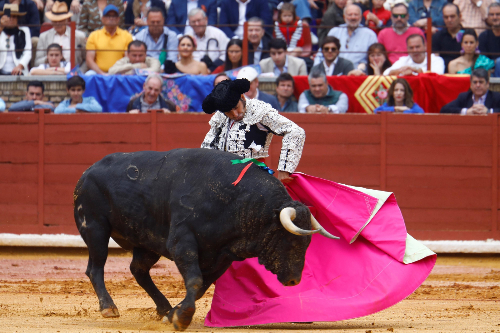 La corrida de toros matinal celebrada en el Coso de los Califas de Córdoba, en imágenes