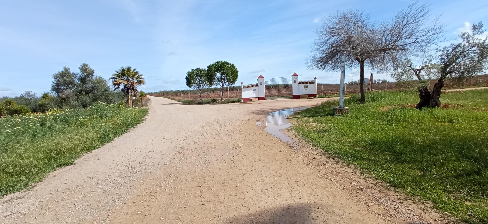 Las imágenes de la Ruta Azul en Bollullos de la Mitación