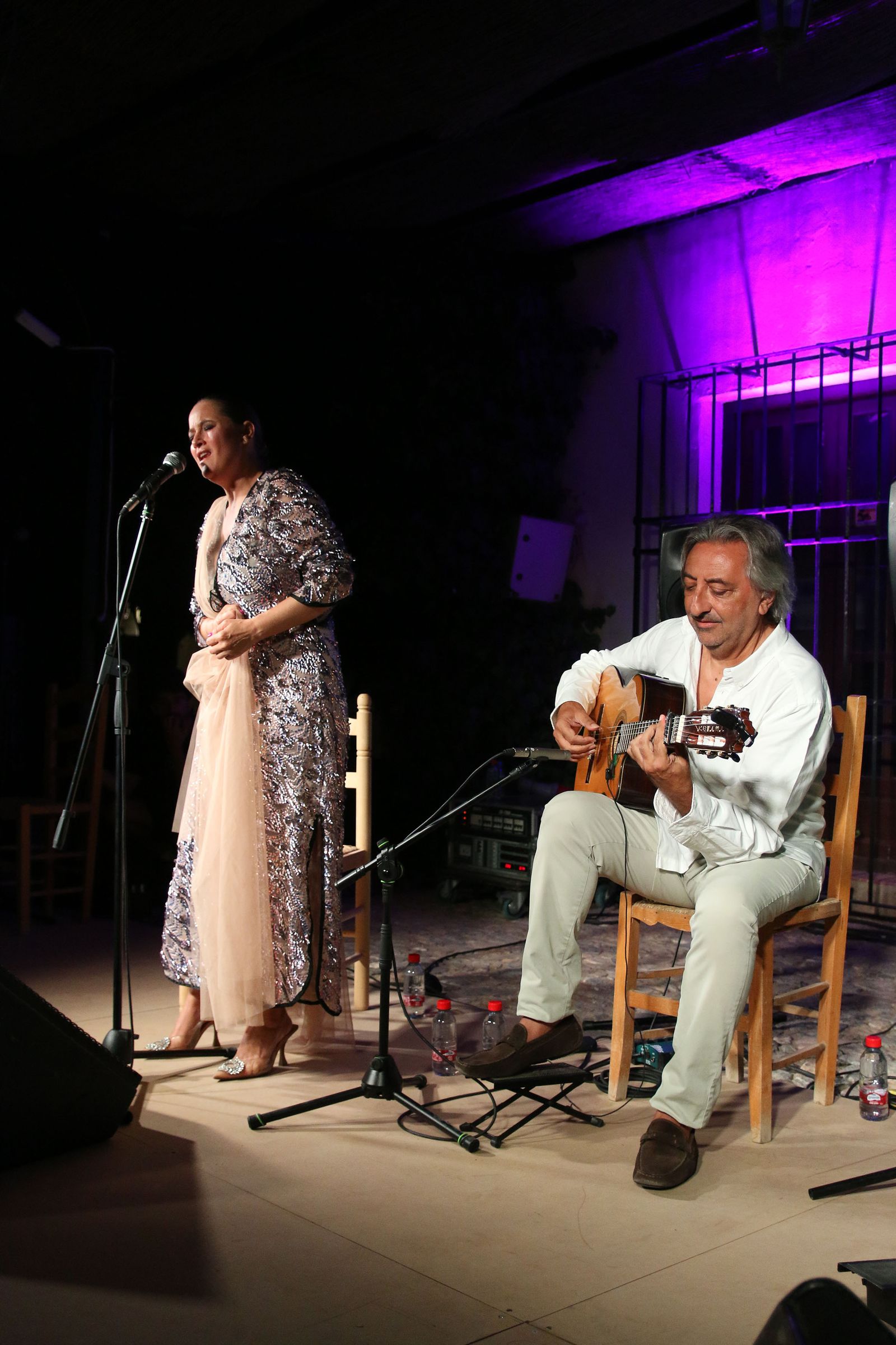 El XXXI Festival Flamenco de Fondón, en imágenes