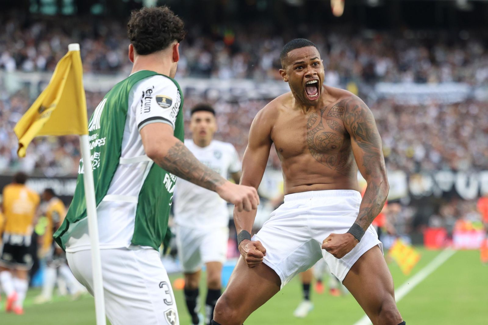 Las fotos de una final de la Libertadores histórica; Botafogo, campeón con 10, ante Atlético Mineiro