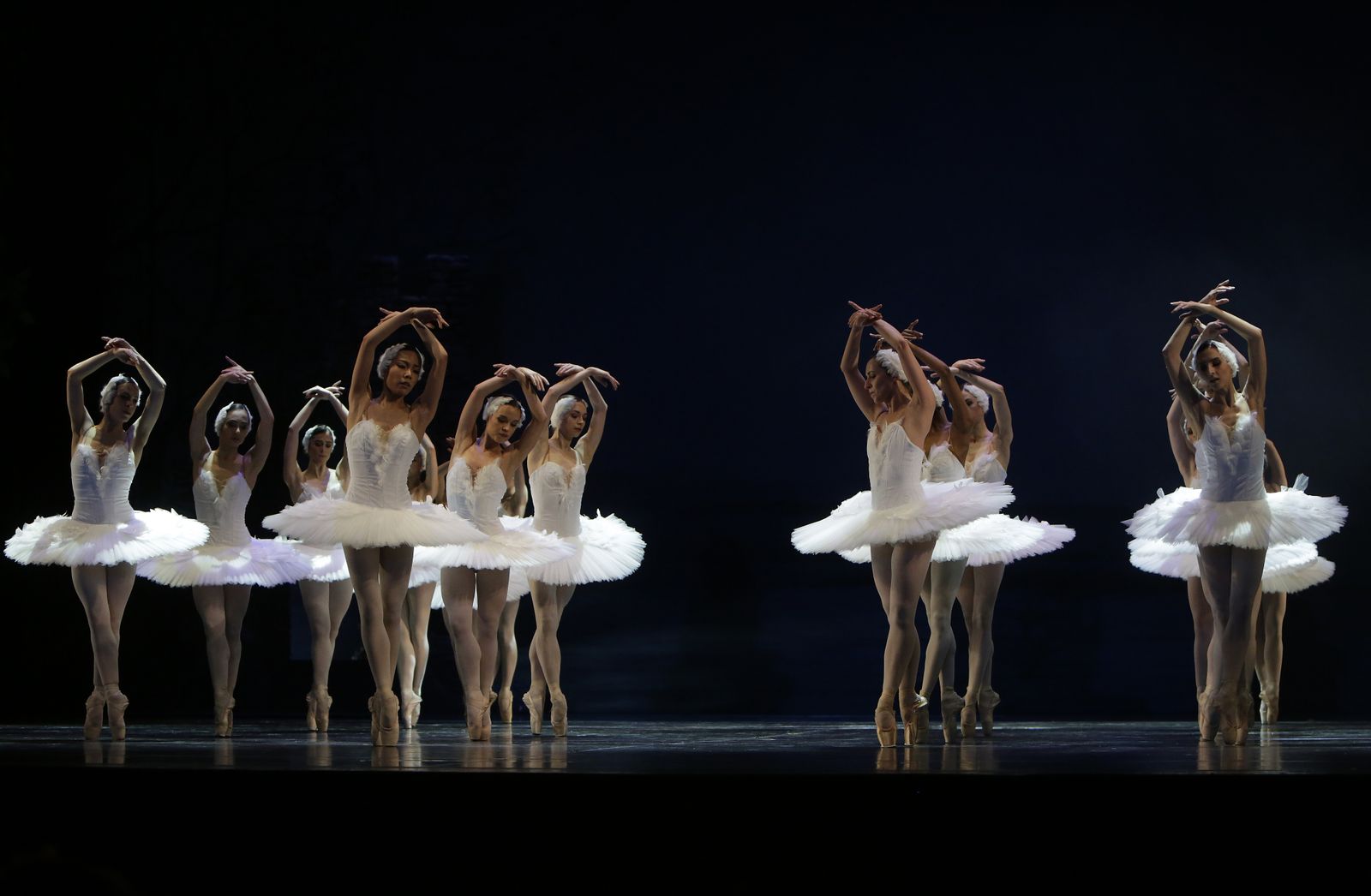 EL LAGO DE LOS CISNES