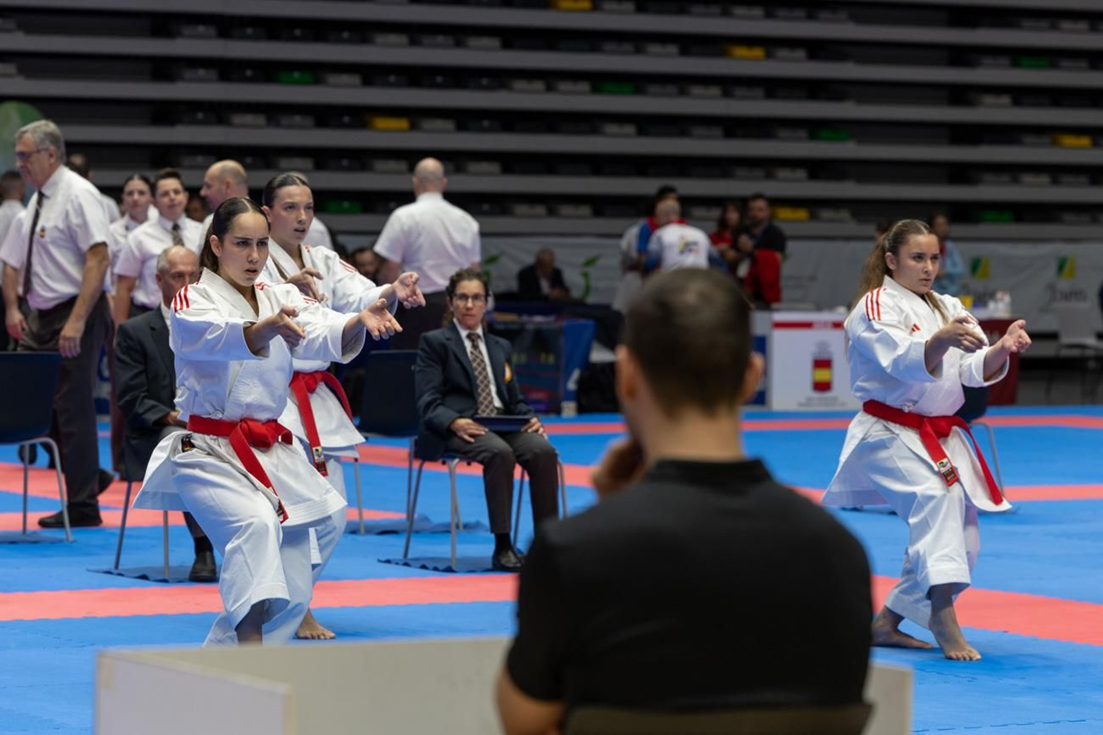 Campeonato de España de Kárate cadete, júnior y sub 21 brilla en Jaén
