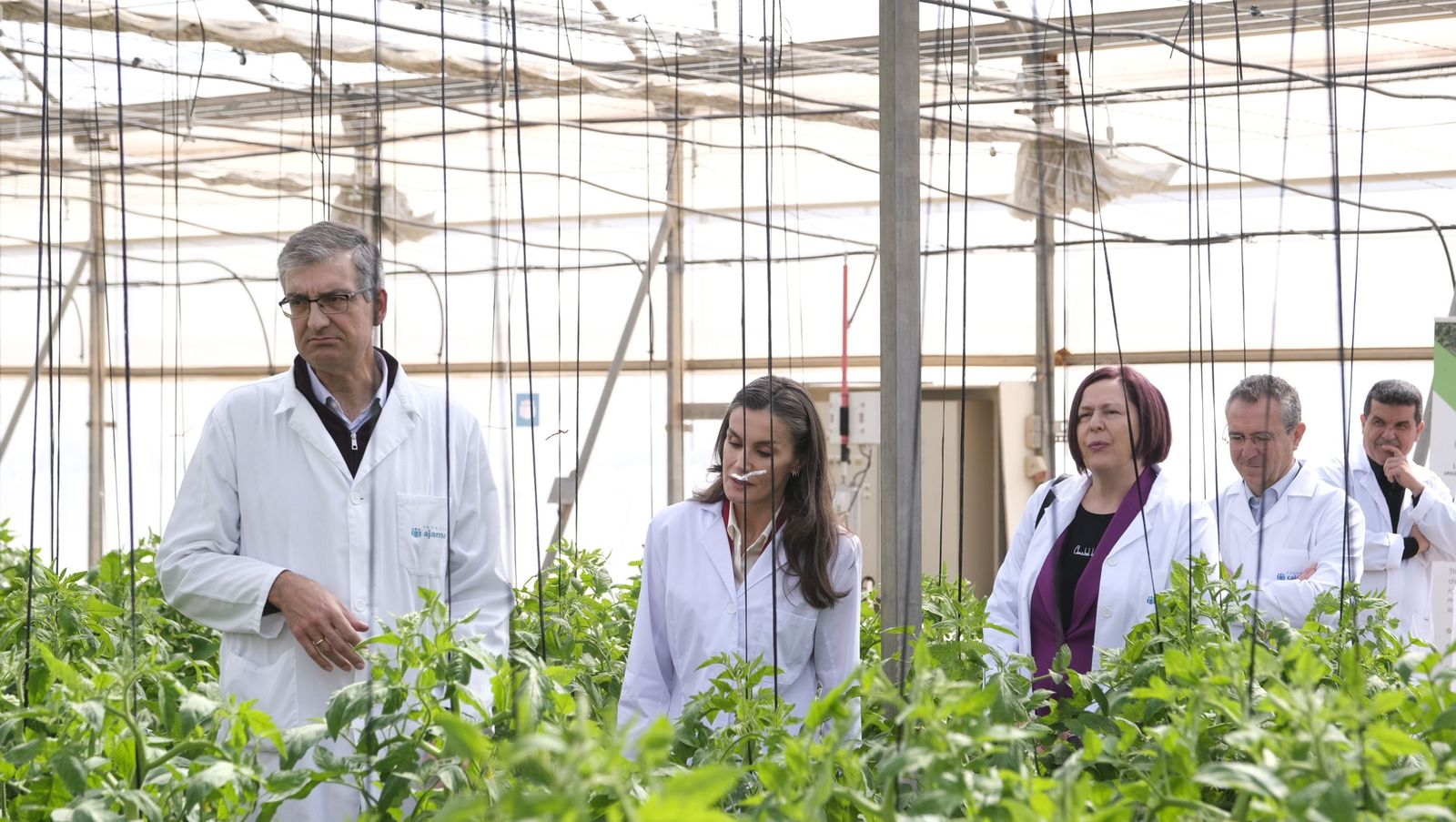 La visita de la reina Letizia a El Ejido, en imágenes