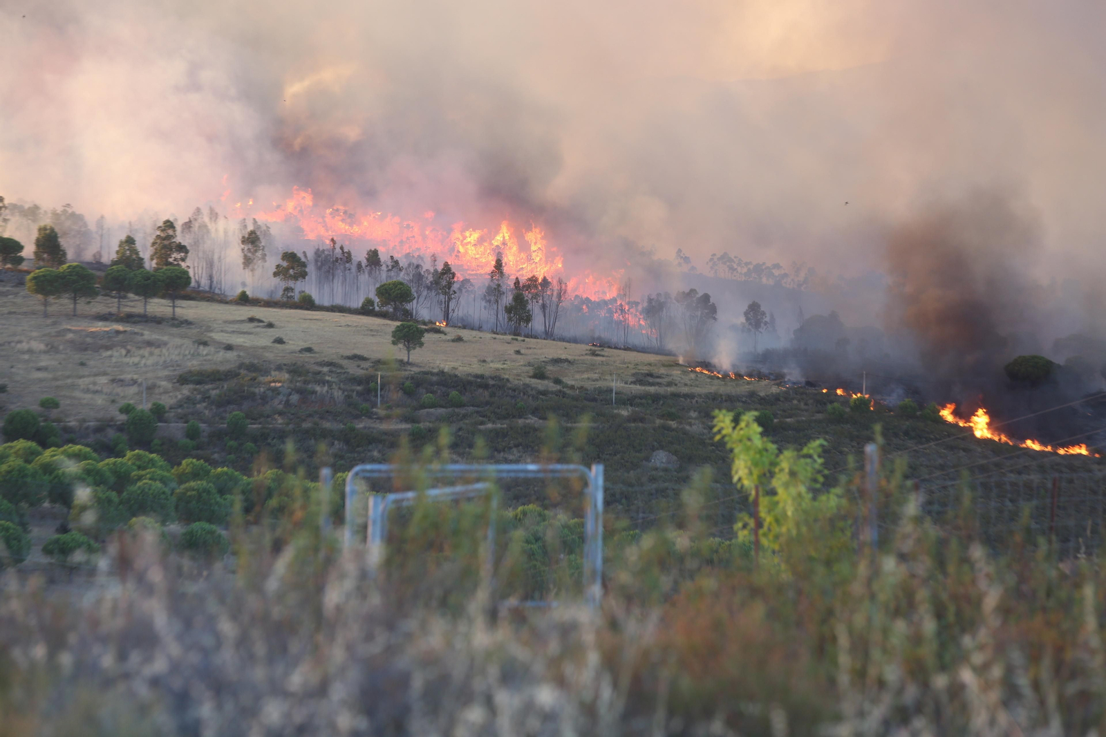 El incendio de Riotinto en imágenes