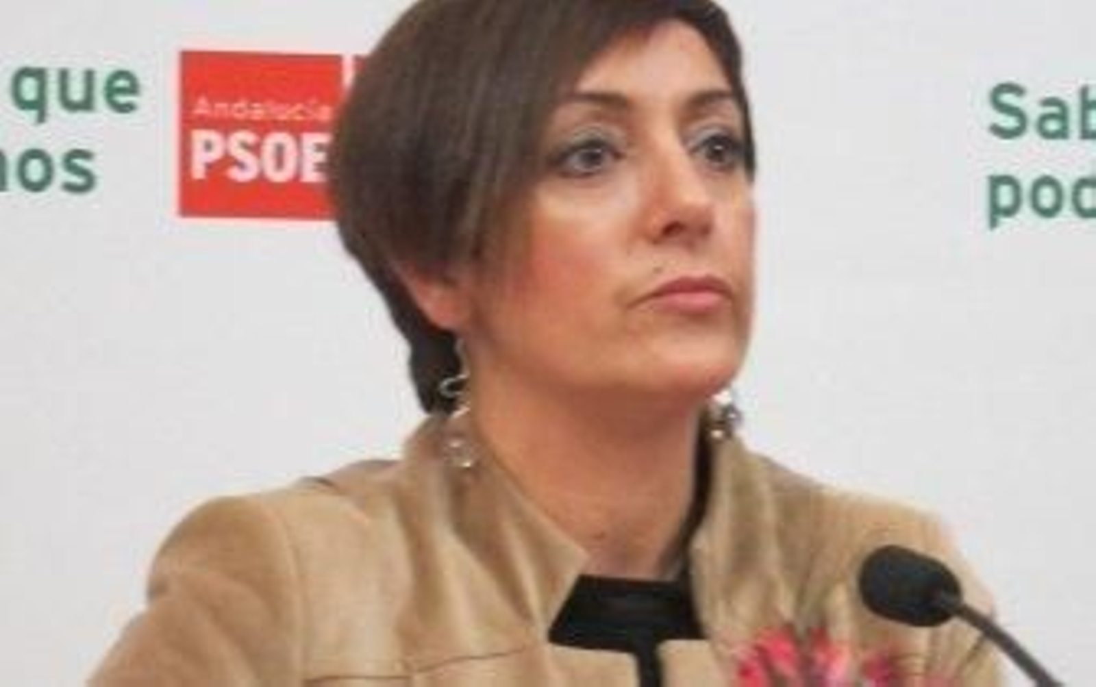 Marta Meléndez, durante una rueda de prensa.