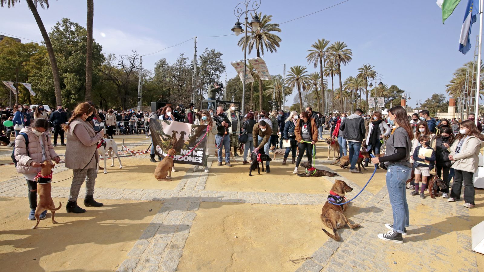 Imágenes de la 'Fiesta de San Antón 2022'