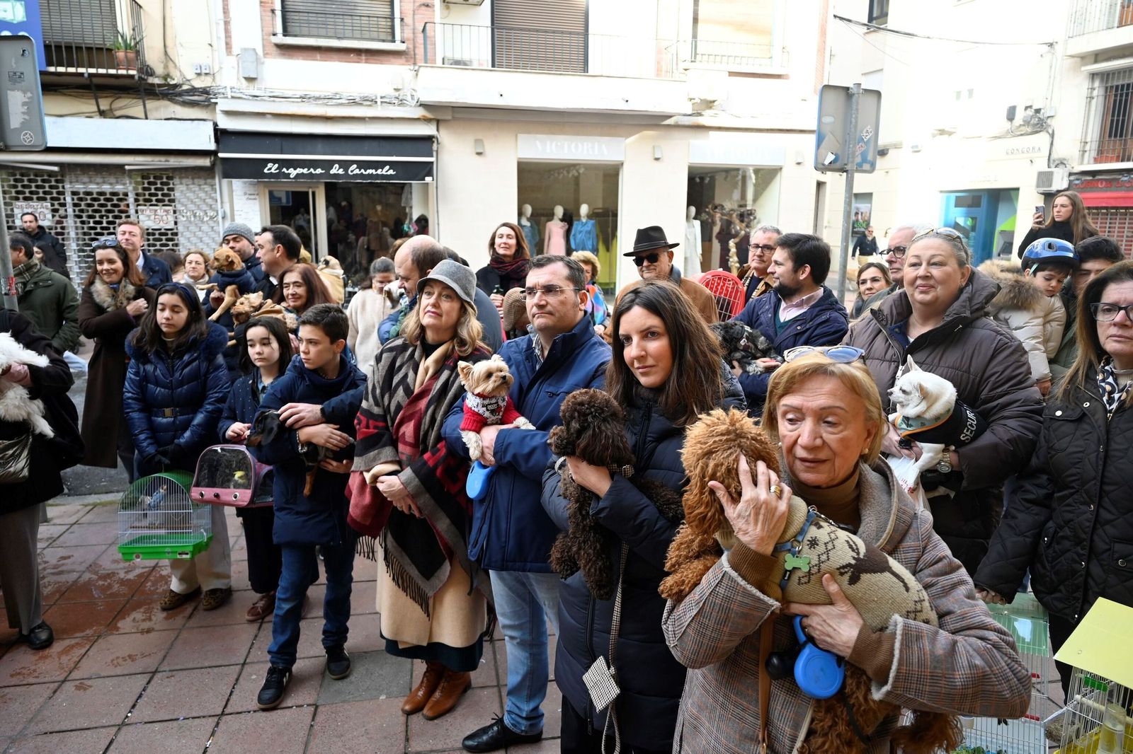 La bendición de animales por San Antón en Córdoba