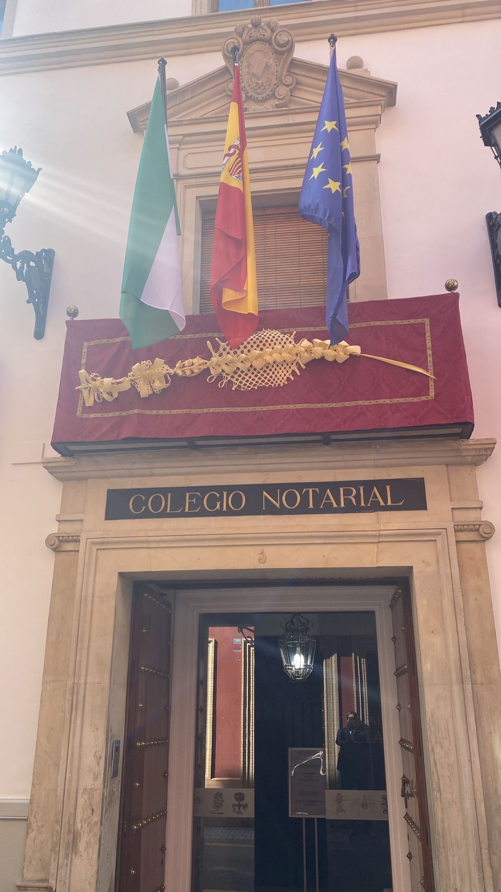 La palma rizada del Colegio Notarial.