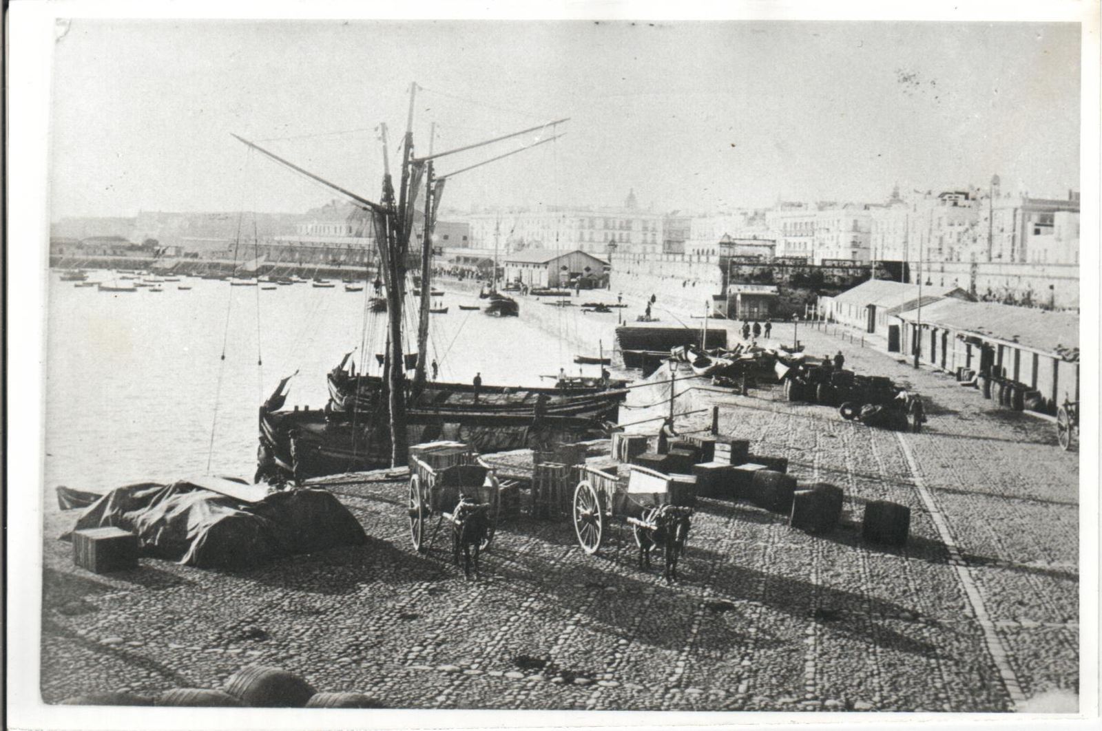 La transformación del puerto de Cádiz. Los años más sorprententes