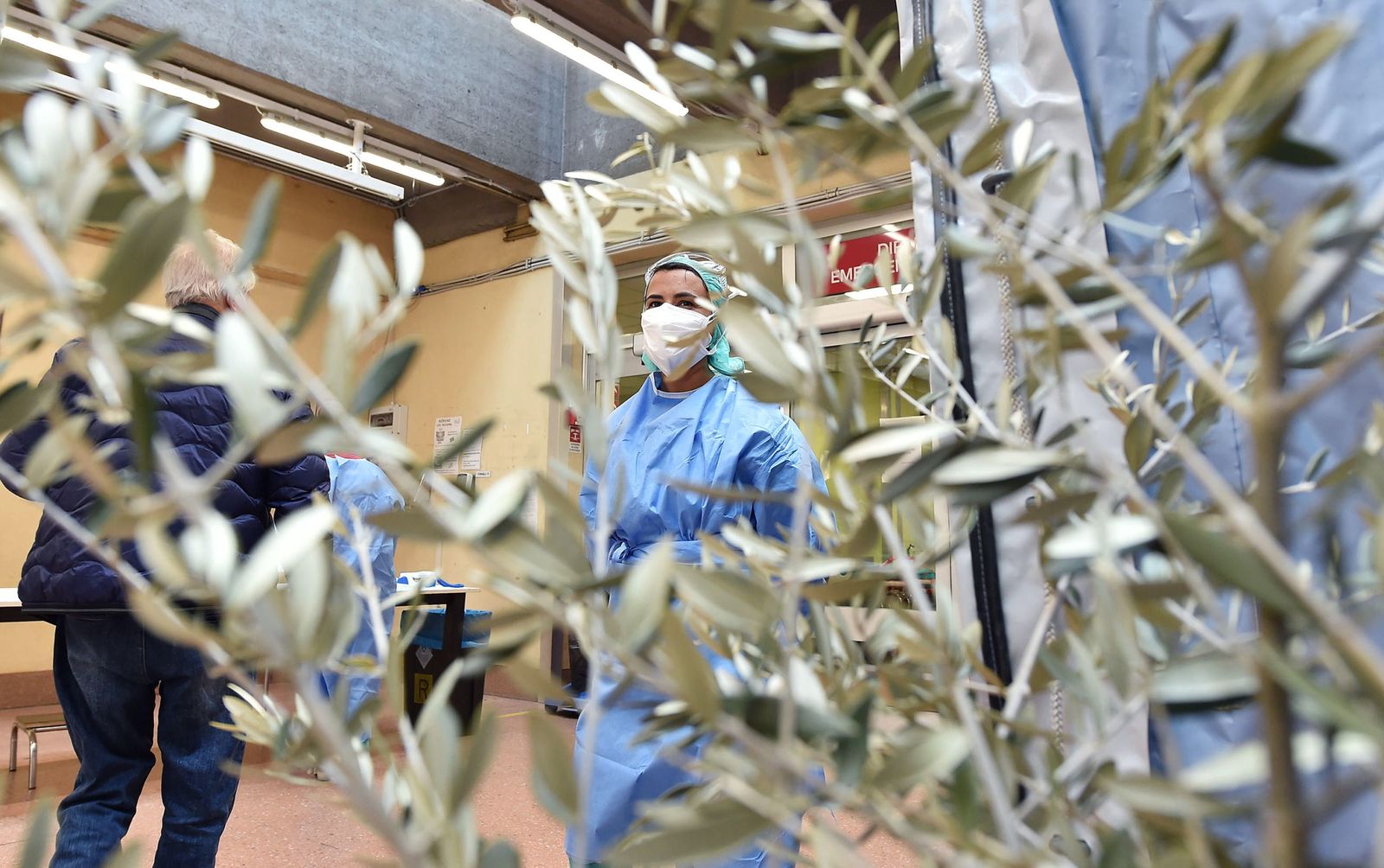 Ramas de olivo en un hospital de Turín.