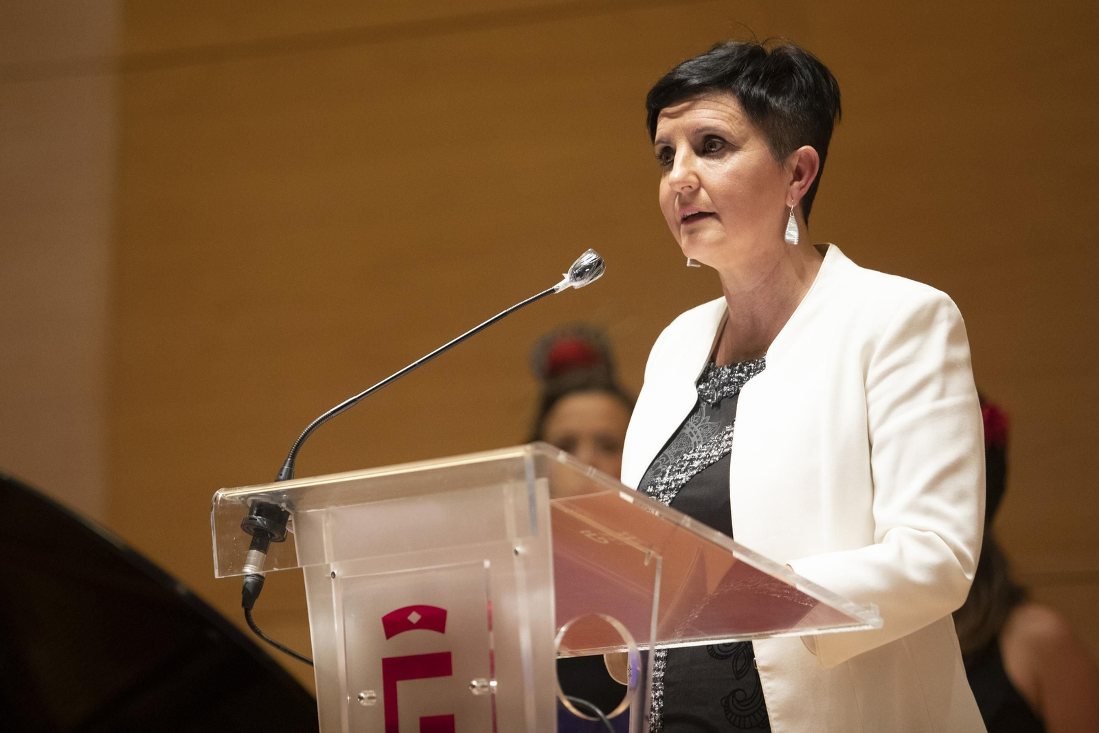 Fotos: los premiados por la Igualdad por la Diputación de Granada