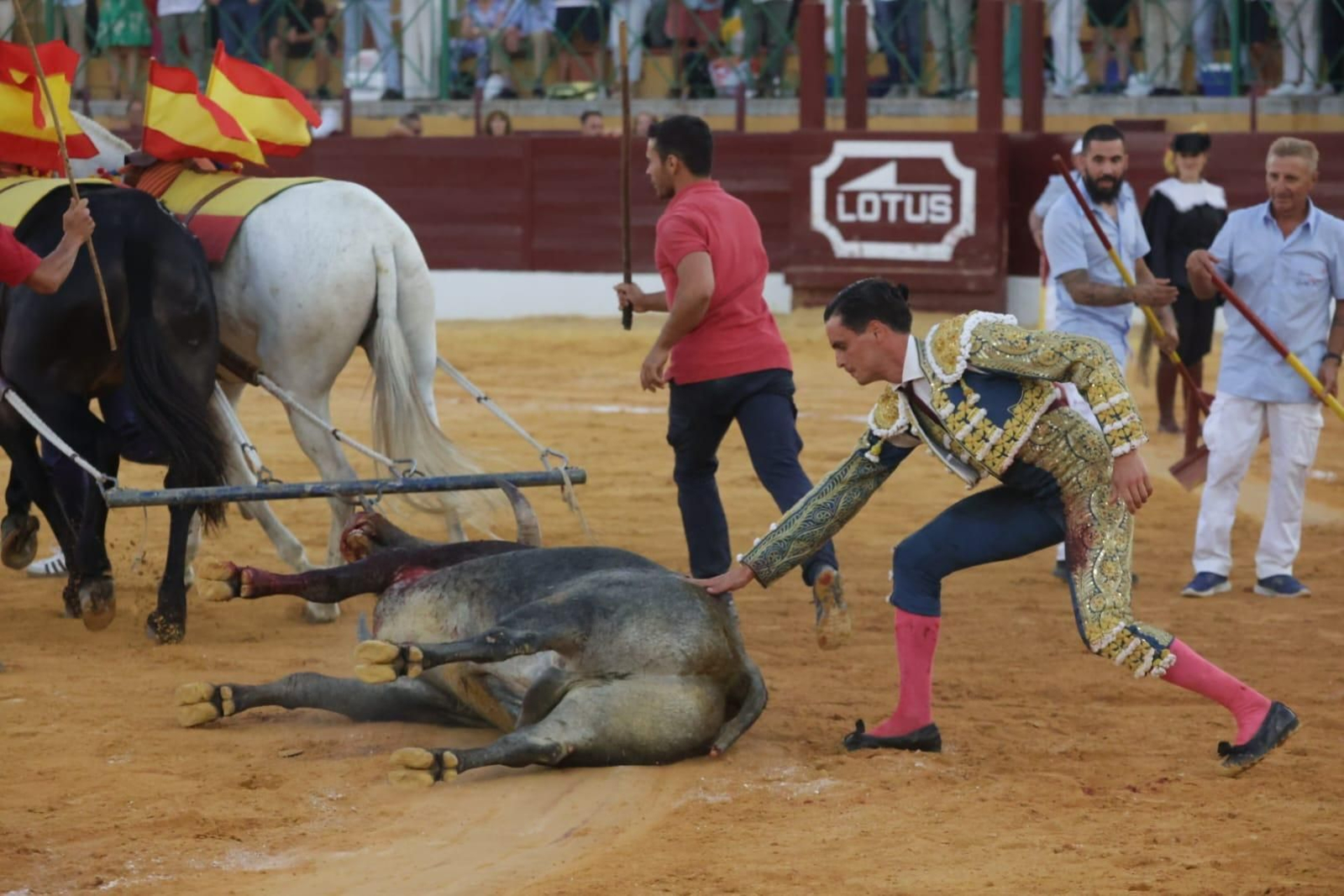 'Bohonero', número 35, cárdeno bragado, fue premiado con la vuelta al ruedo en el arrastre.