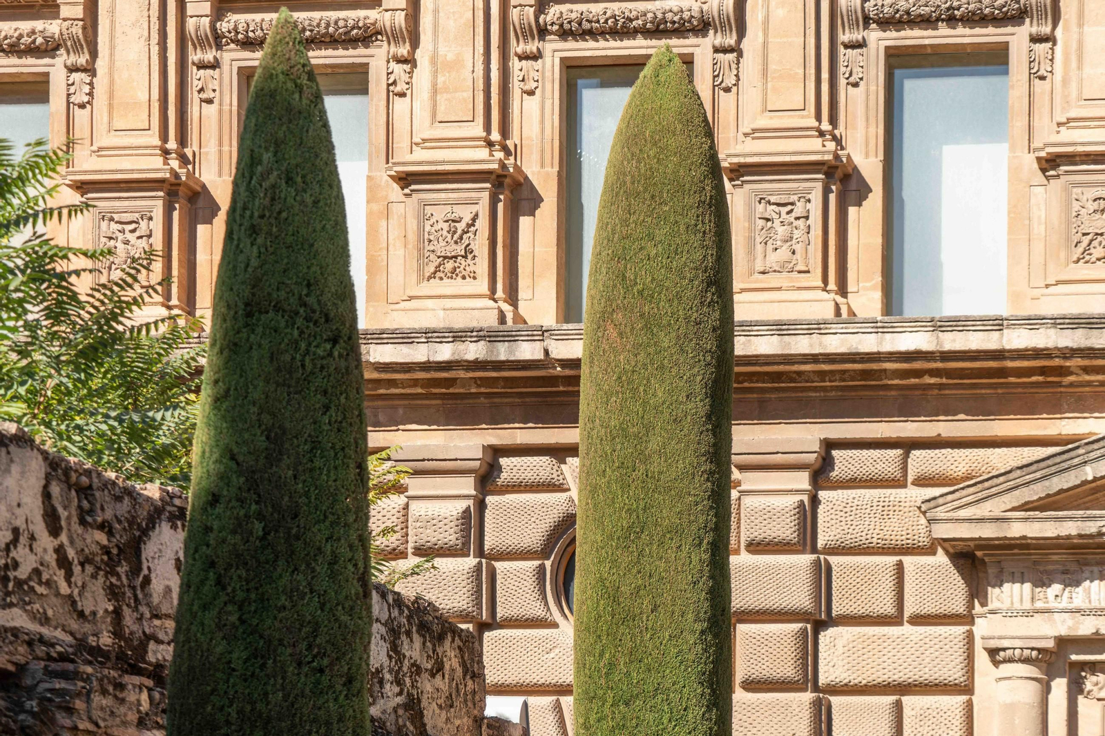 El trabajo de poda en la Alhambra, en imágenes