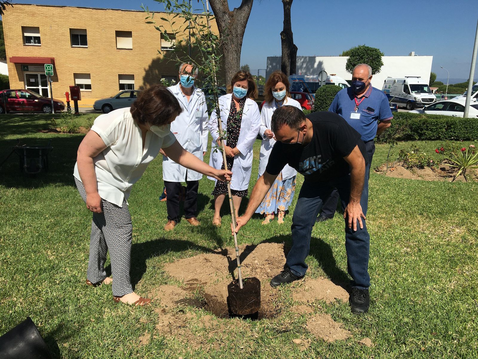 Trasplantados plantan un árbol.
