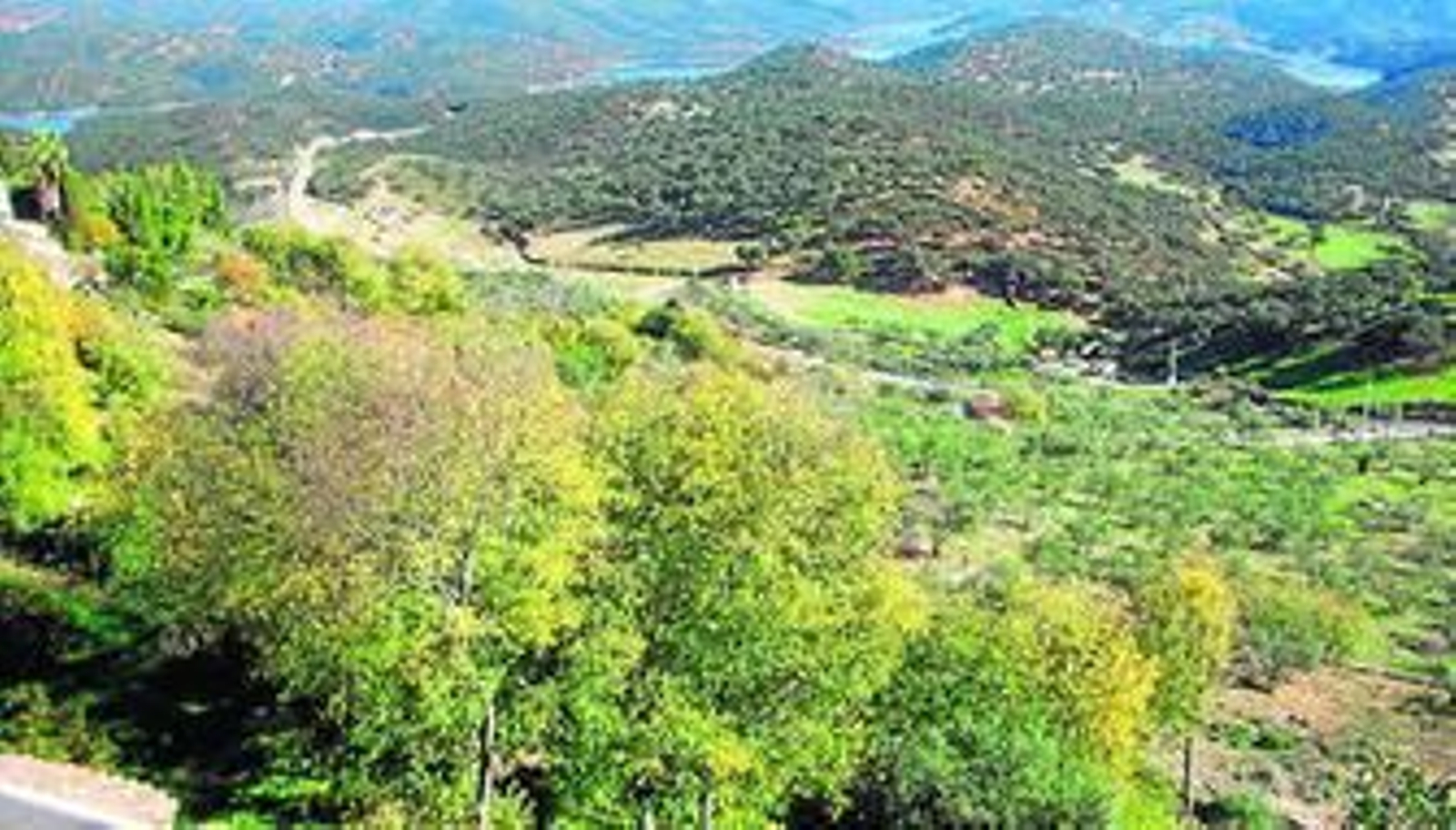 Carretera en la que se produjo el siniestro.