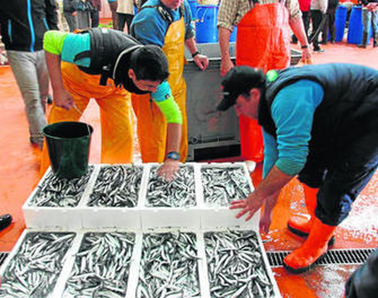 Unos pescadores manipulan cajas de boquerón en la lonja de Punta Umbría.