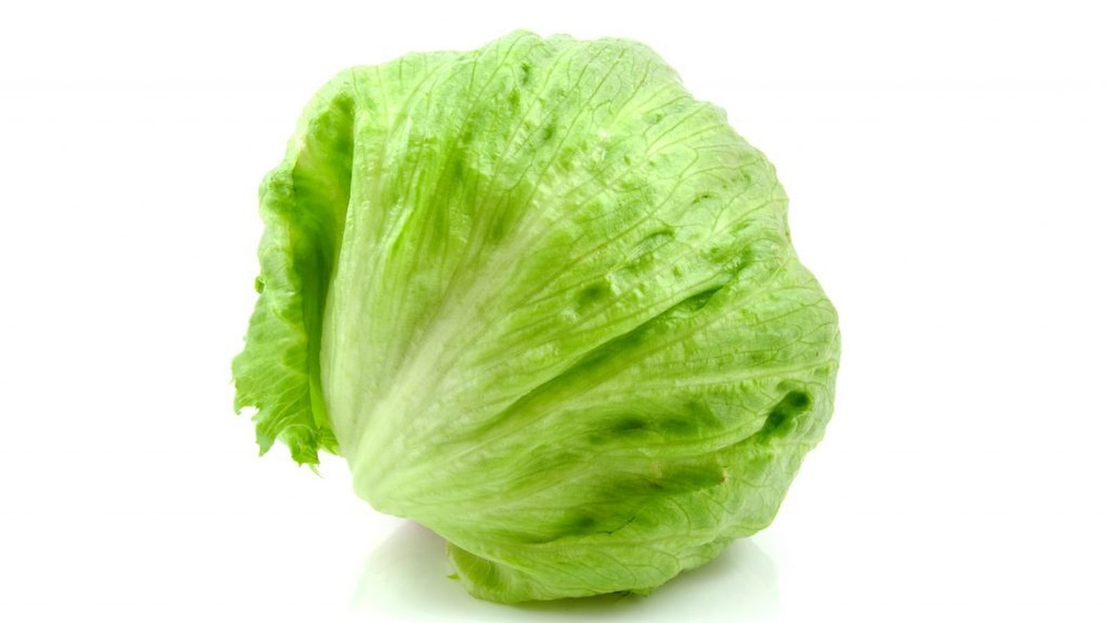 Lechuga iceberg.
